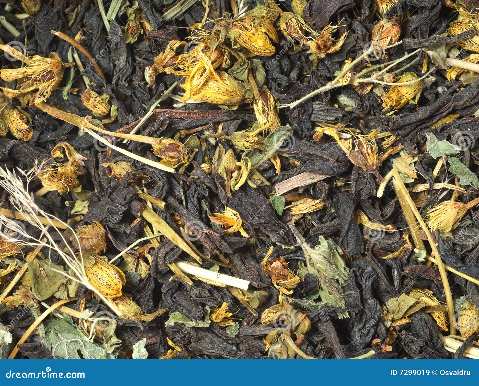 Photo of Mixed Black and Herbal Tea Stock Image Image of macro, plant 7299019