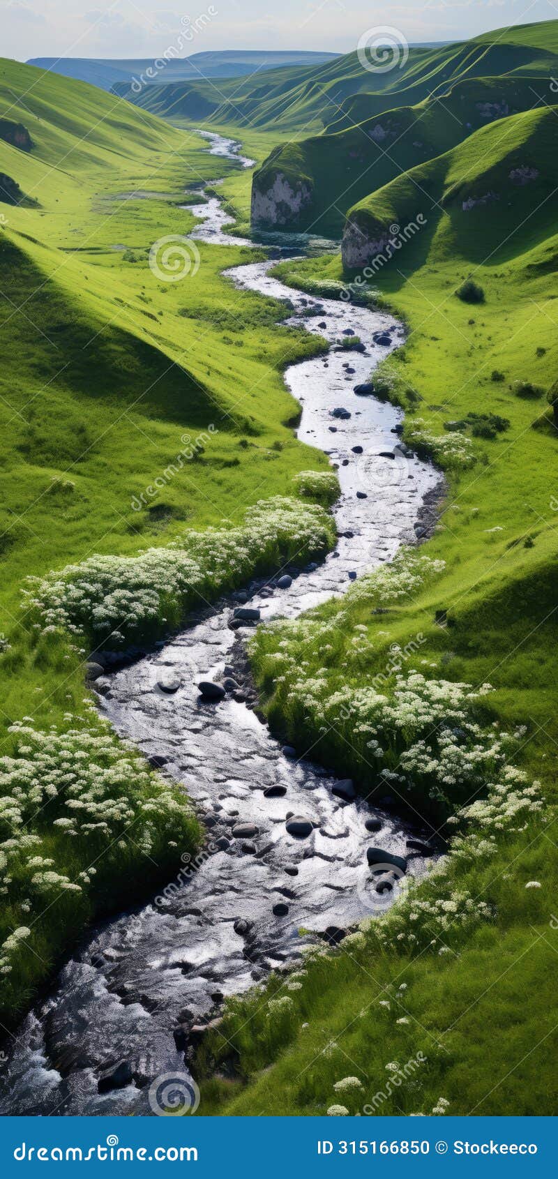 tranquil aerial view of endless green ravine with vibrant wild flowers