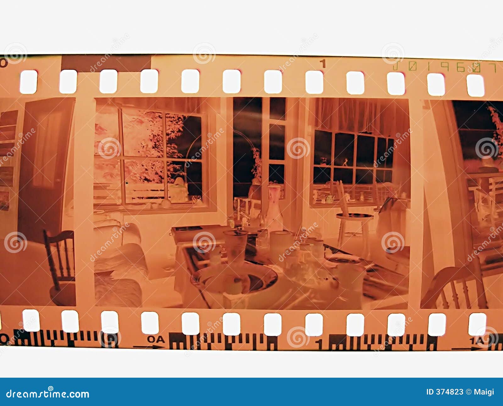 camera negative film