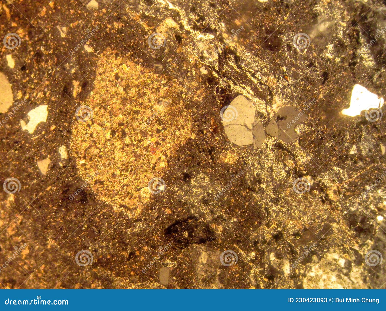 Photo of the Optical Mineralogy and Thin Section Microscopy of