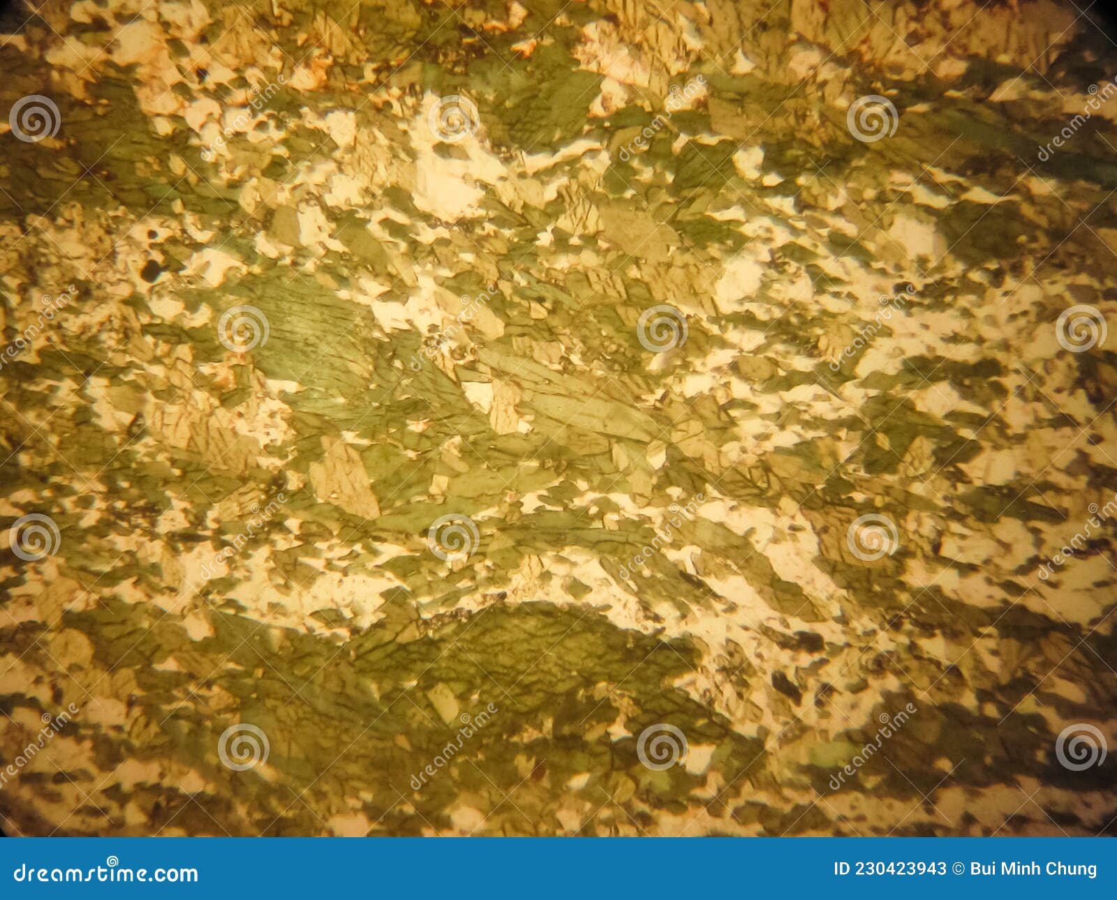 Photo of the Optical Mineralogy and Thin Section Microscopy of