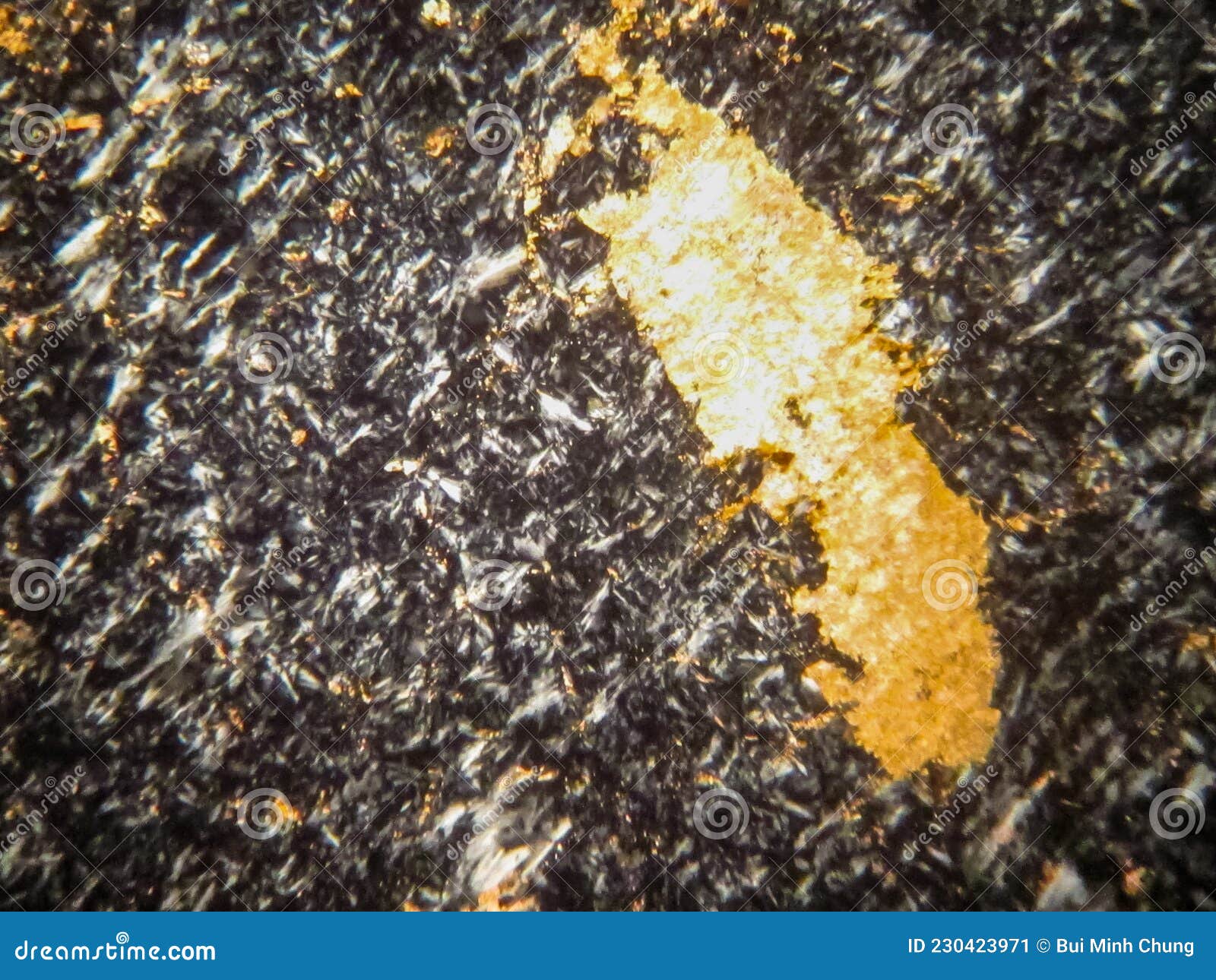 Photo of the Optical Mineralogy and Thin Section Microscopy of