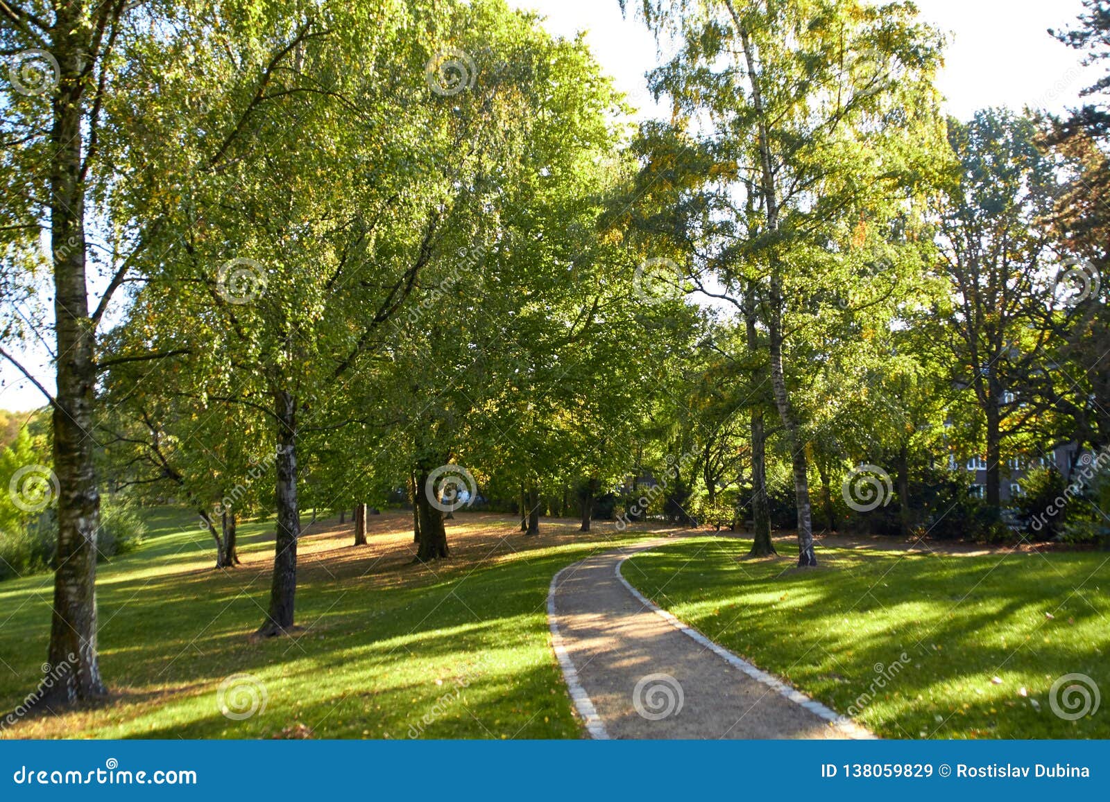 Photo of a Park in a German City. Beautiful Nature of Green Park Area of Hamburg. Park Paths for Walking People. Beautifu Stock Image Image forest, 138059829