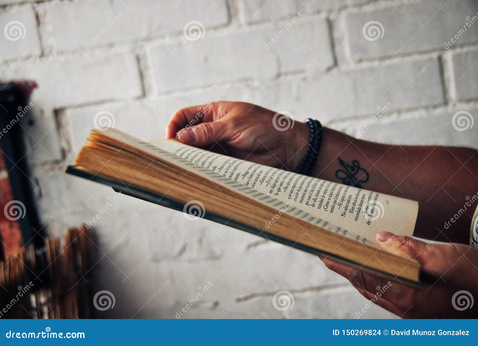 person with tattoo reading a book.