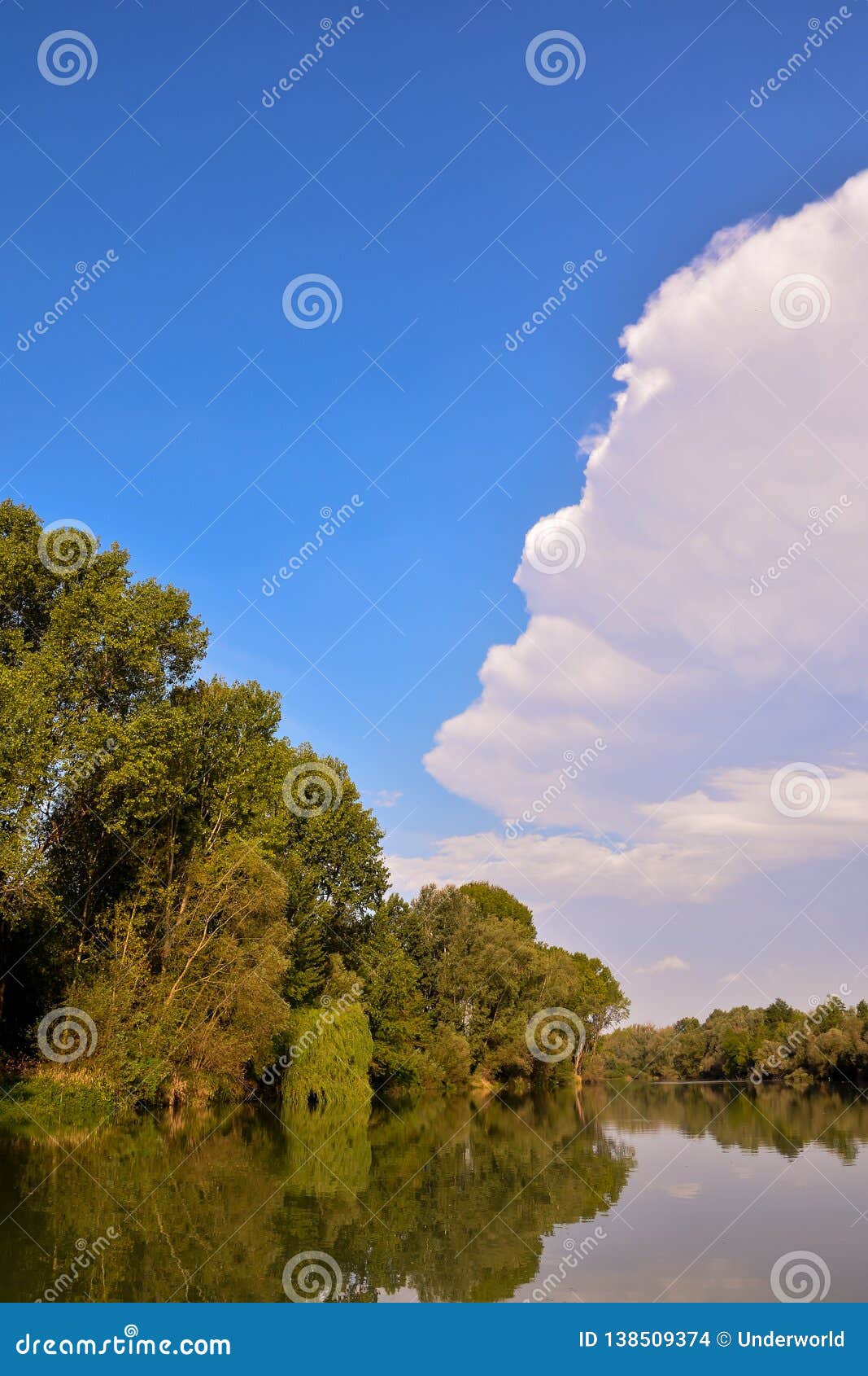 Wild Brenta River stock photo. Image of wild, green - 138509374