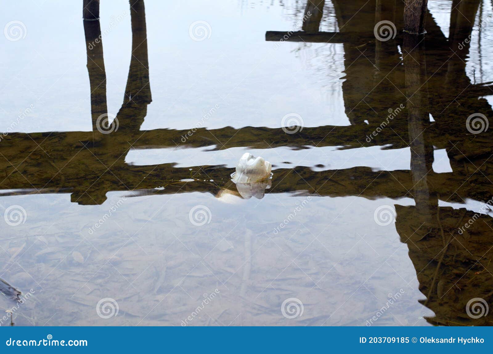Photo of Plastic Bottle Upside Down in Water Stock Image Image of