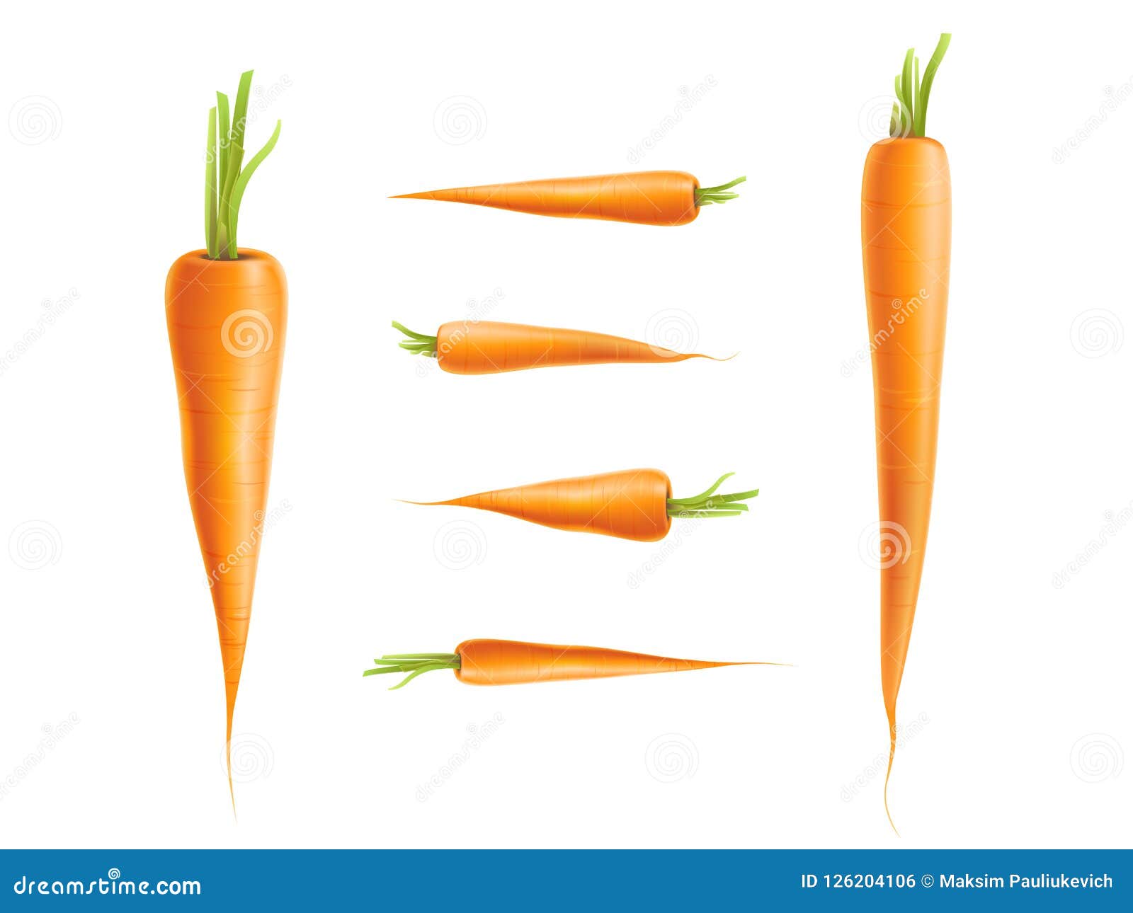 Photo-realistic Carrot Set Isolated Stock Illustration - Illustration ...