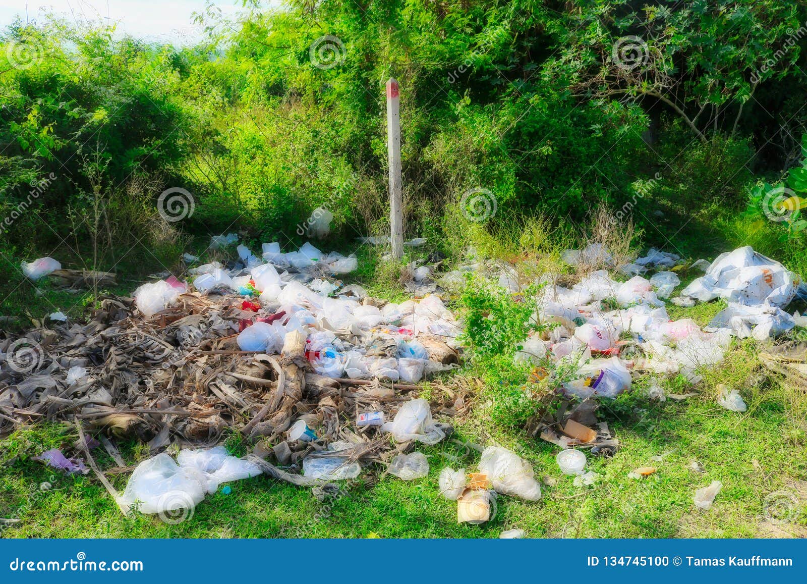 Plastic Waste in Nature of Thailand Stock Photo - Image of environmental, pollution: