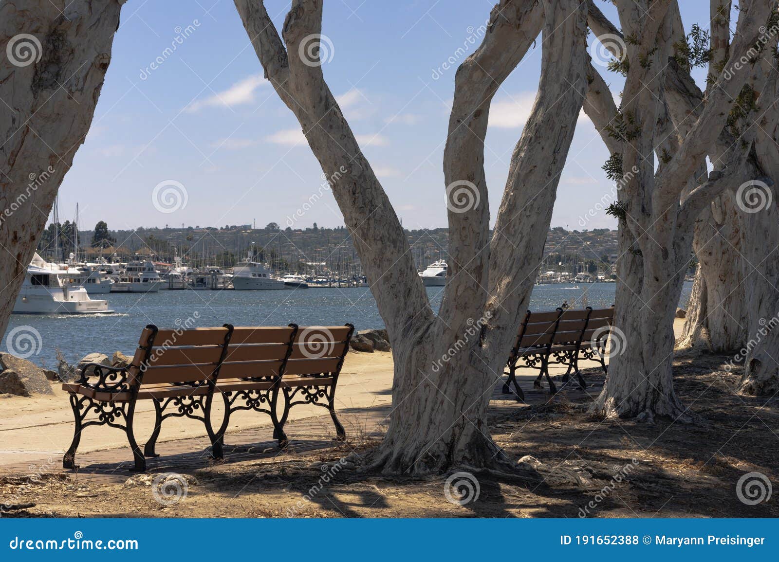 san diego park benches at shoreline by the bay and historical spanish landing. boats and point loma in the distance.