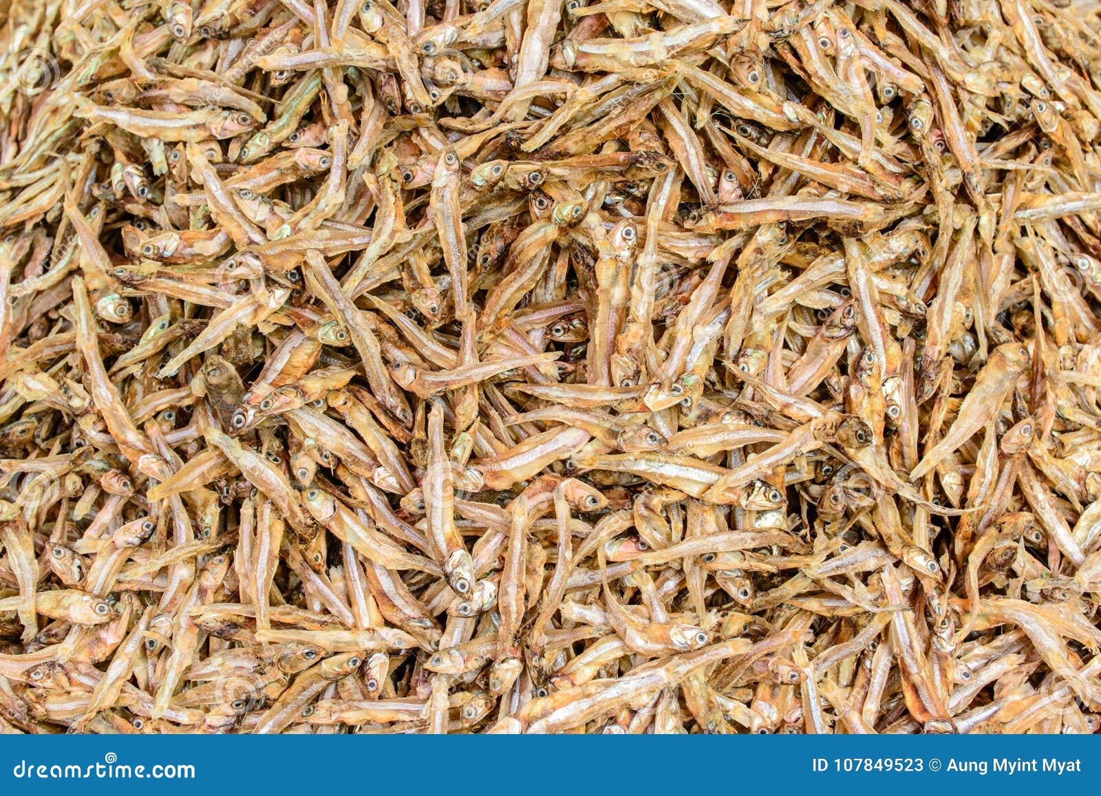 Photo of small dried fish stock image. Image of bream 107849523