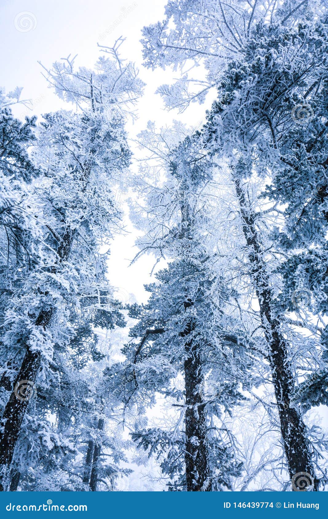 A Snowy View of Xiling Snow Muntain Stock Photo - Image of xiling, snow ...