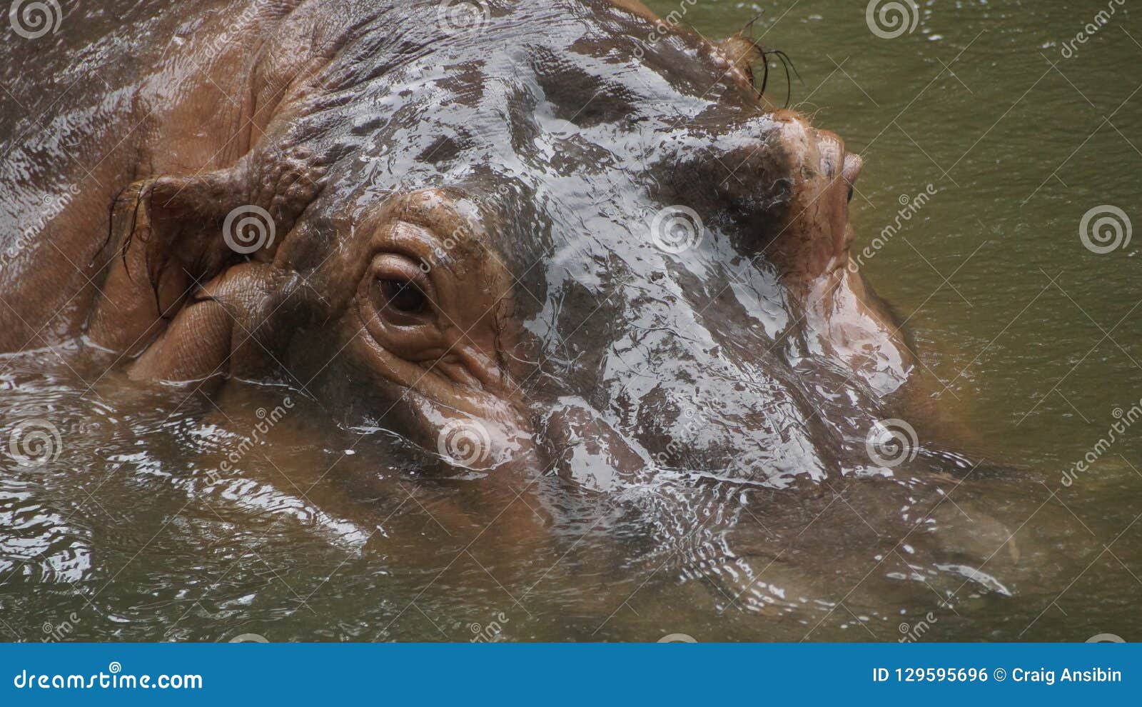 National zoo of malaysia