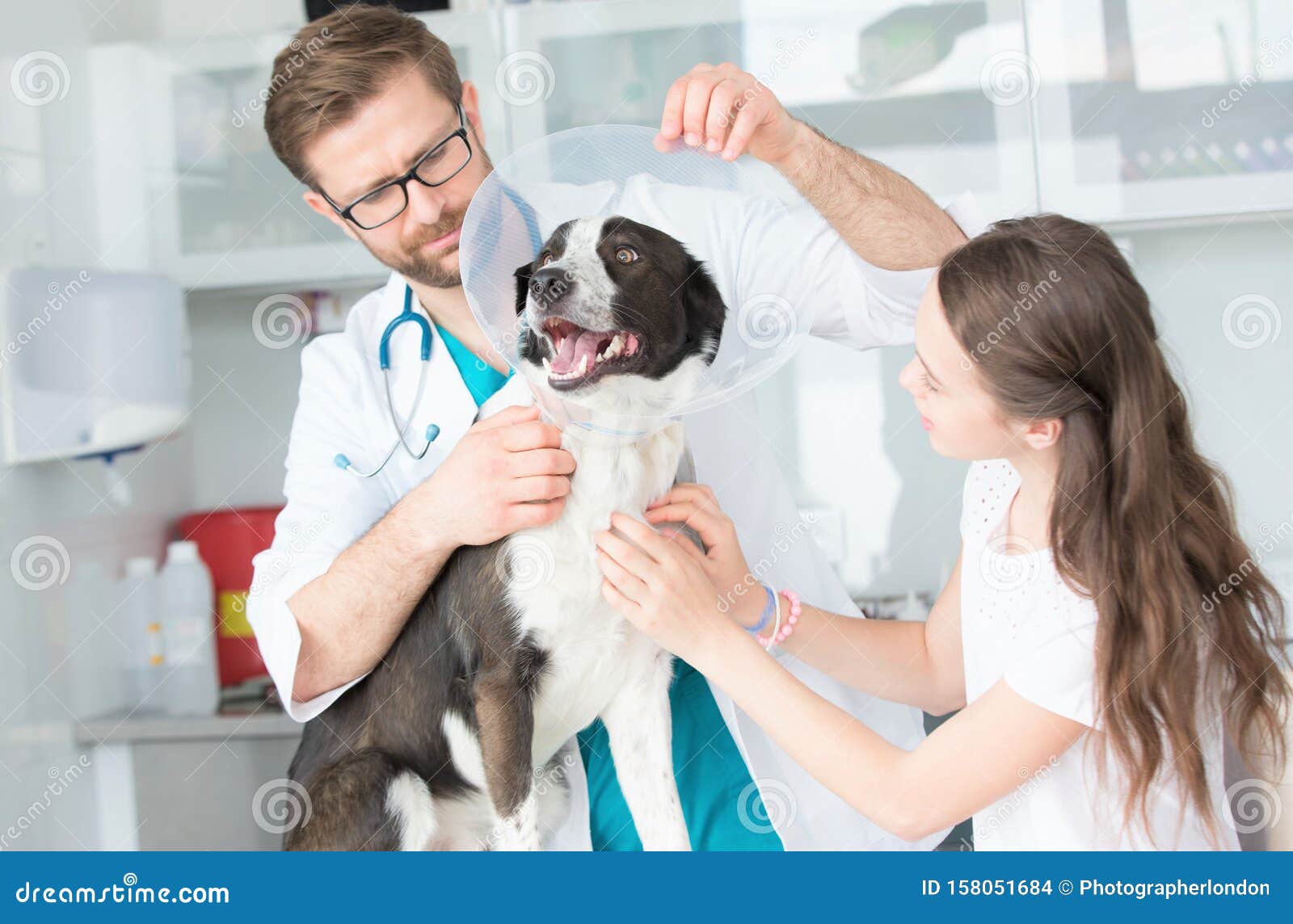 Veterinary Doctor and Girl Holding Cone Collar on Dog at Clinic Stock Photo  - Image of holding, doctor: 158051684