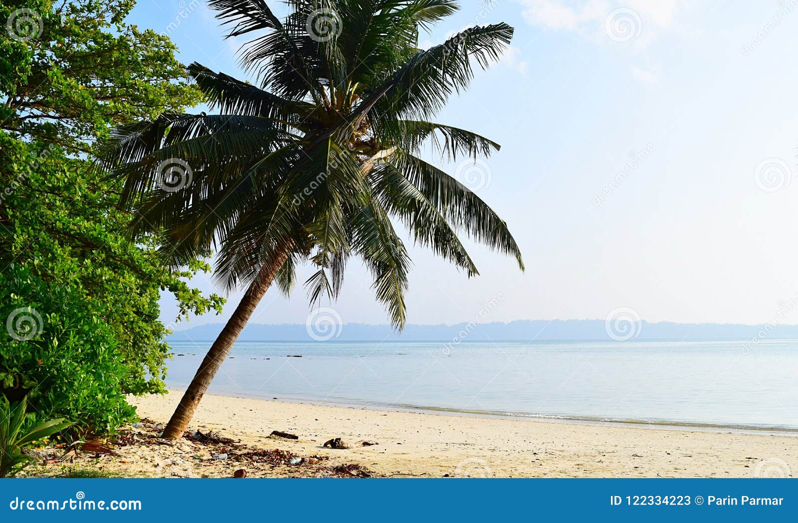 Download Relax and enjoy the view at a serene tropical beach Wallpaper   Wallpaperscom