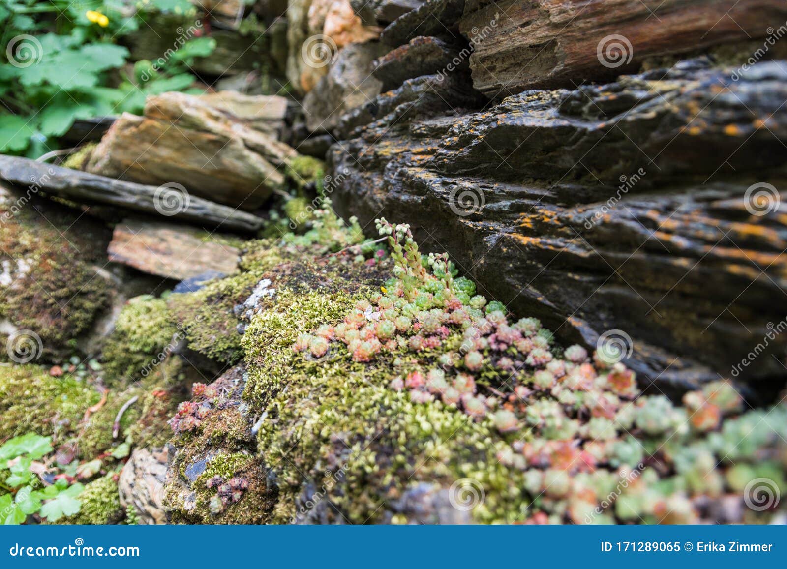 view of different textures of stone walls