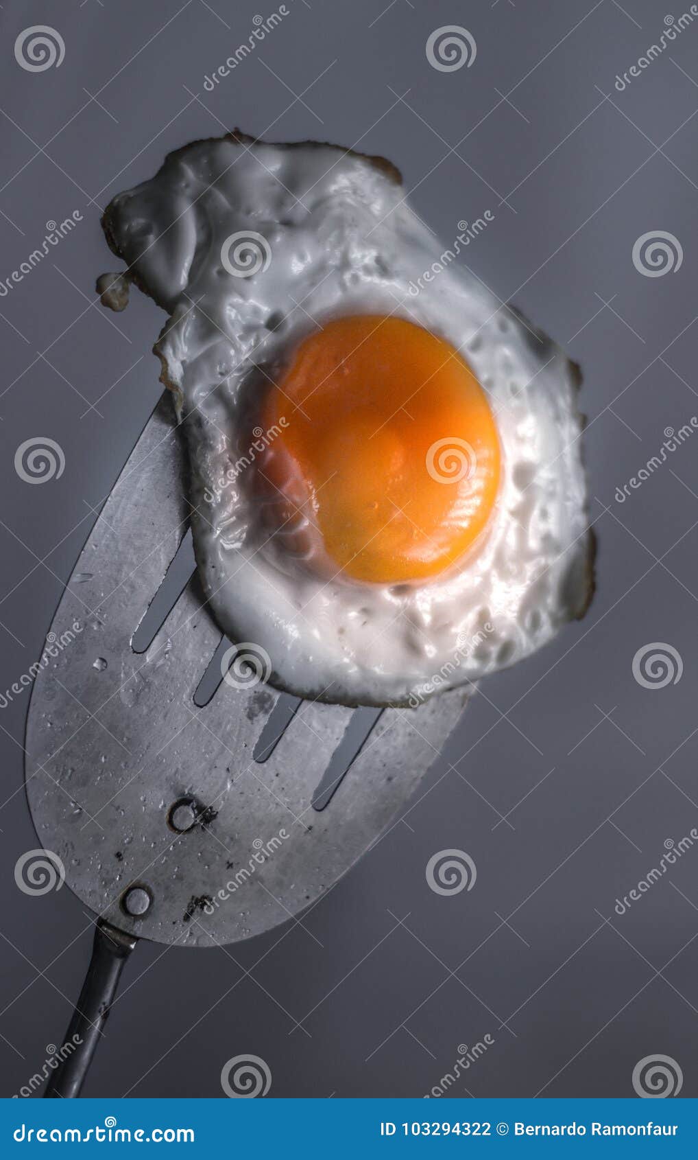 Fried egg and spatula stock photo. Image of photograph 103294322