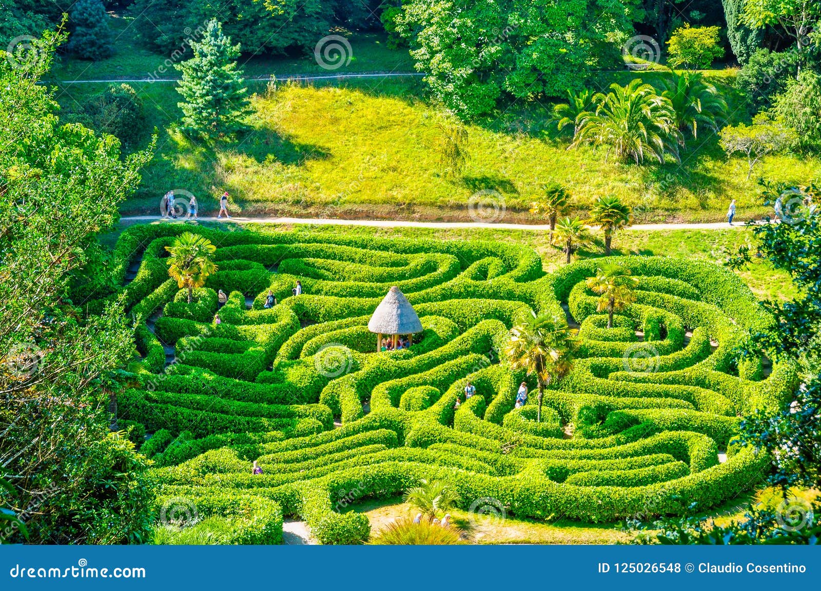 photograph of a park in the form of a labyrinth. cornwall, uk.