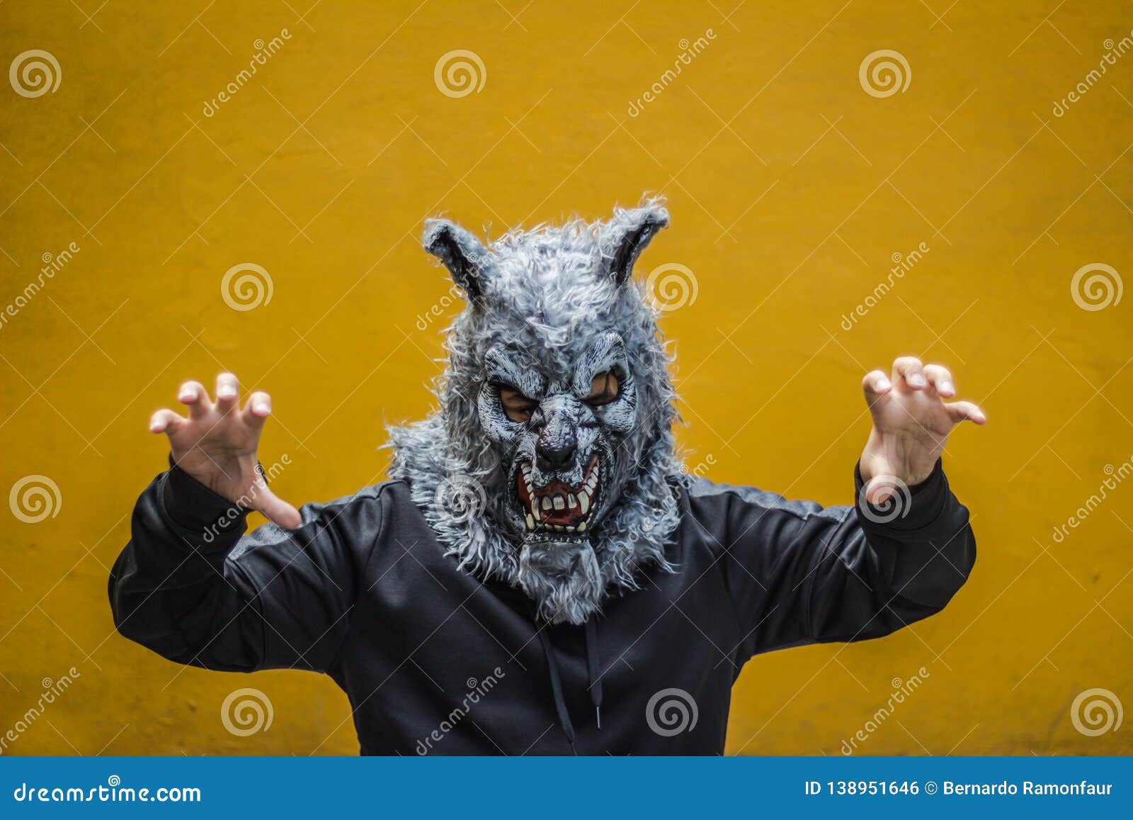 Person with Wolf Mask Photograph Stock Photo Image of people, animal