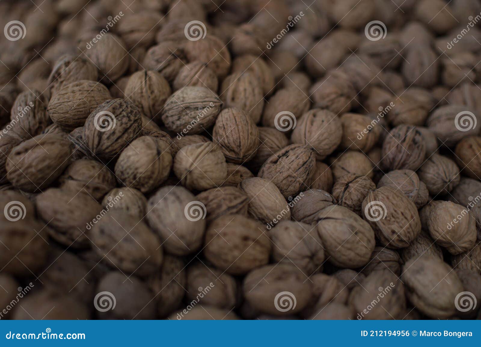 Pile of Italian Walnuts in Shell Stock Photo Image of heap, dessert