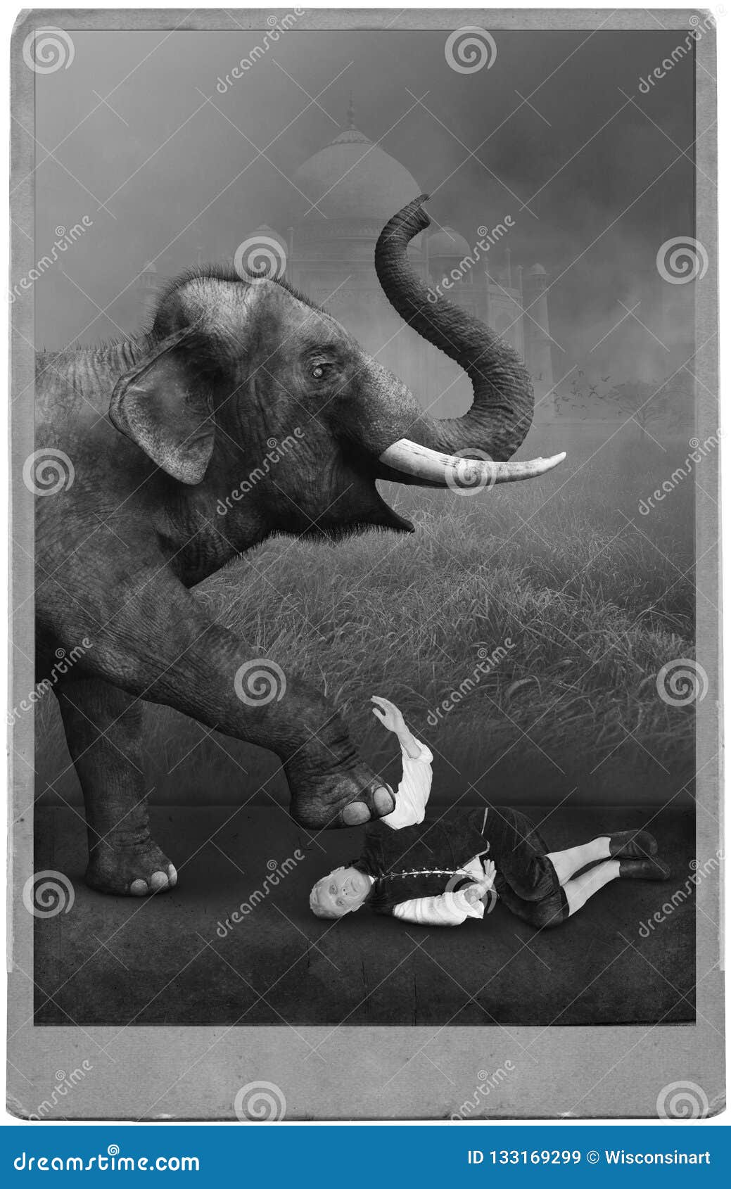 vintage circus performer, carnival, elephant