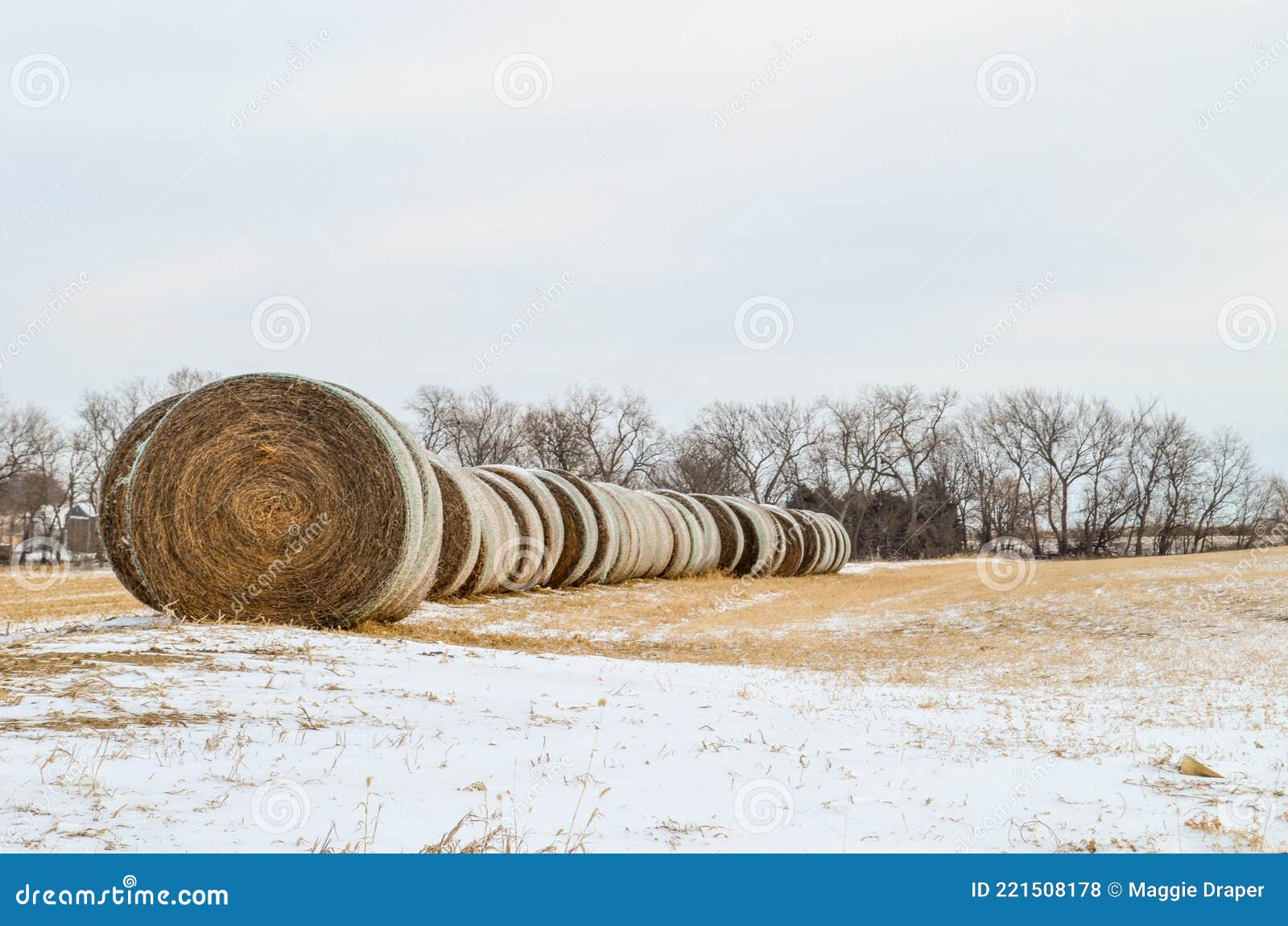 haybales lined up in a wintry countryside