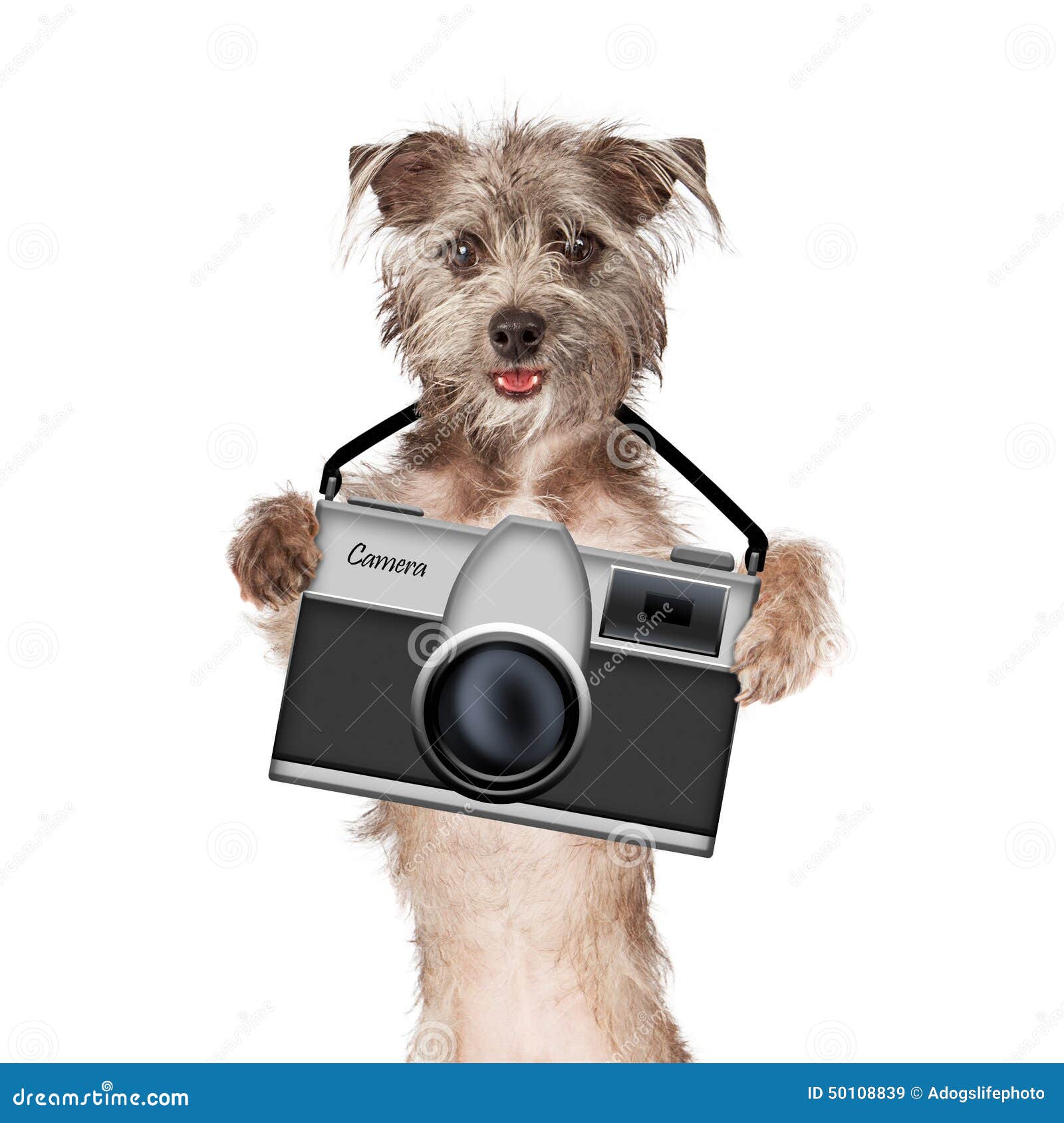 Photographe with Camera De Chien Image stock - Image du amical