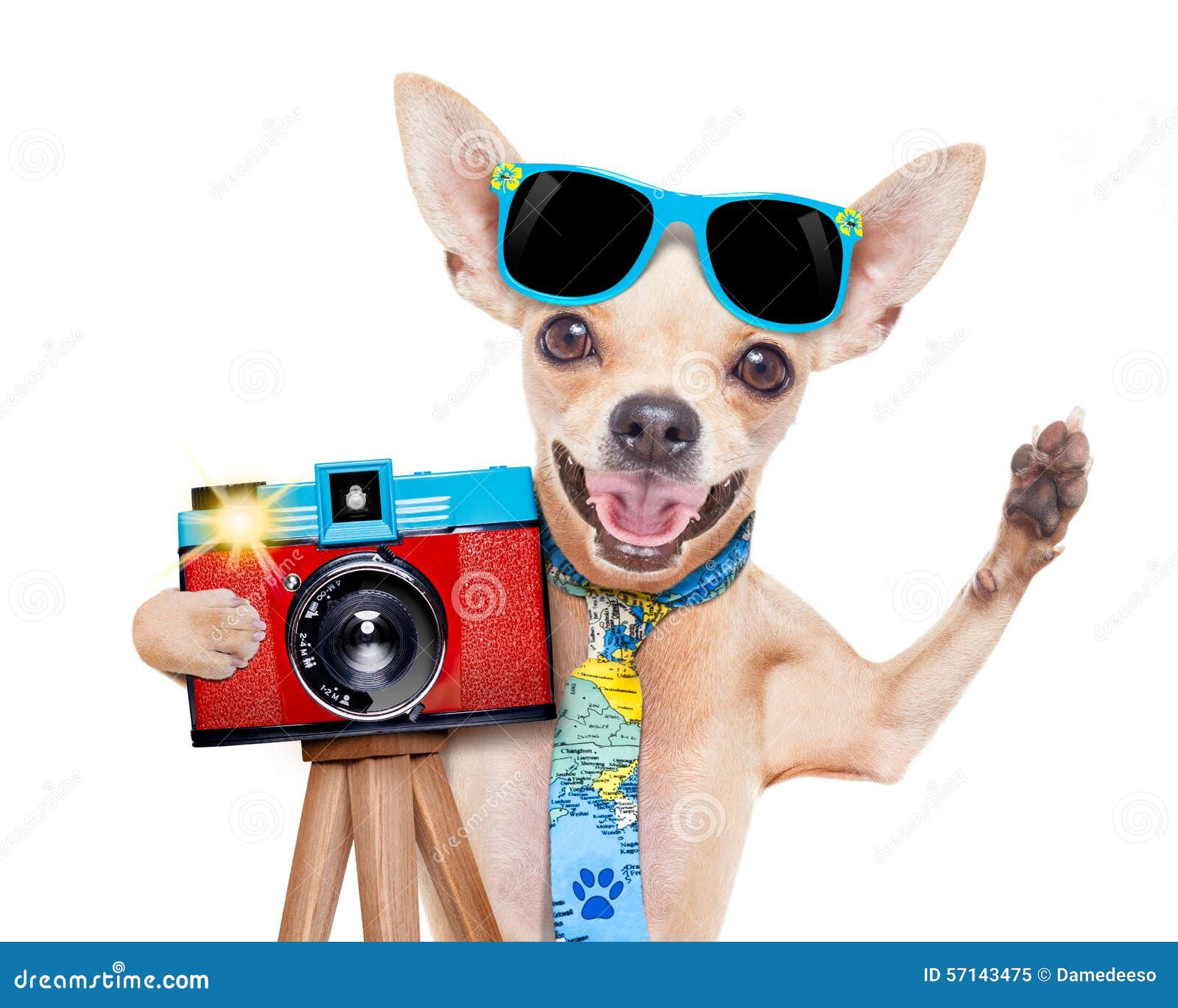 viewfinder photographer viewfinder photographer