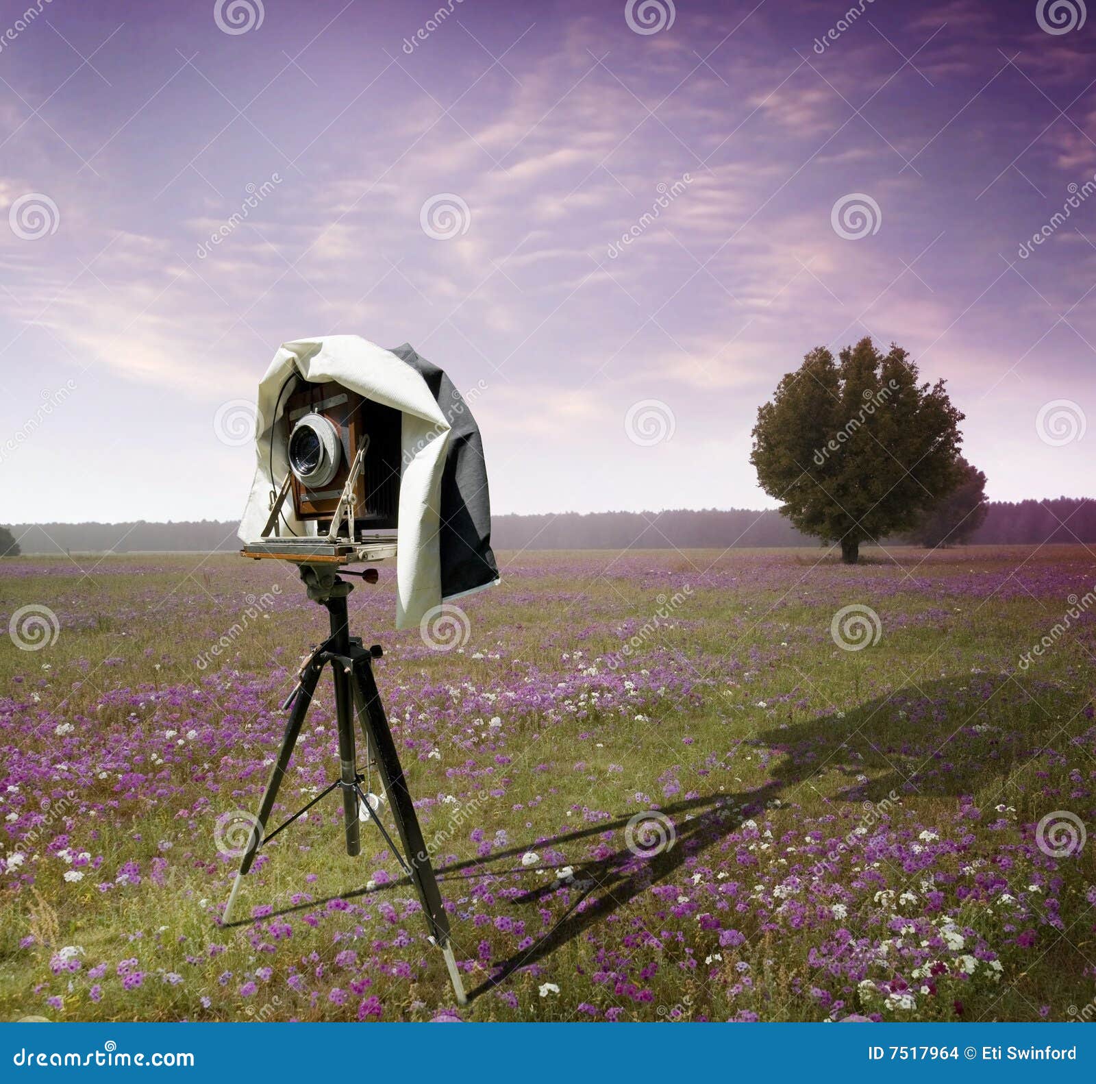 Photographers camera stock photo. Image of film, stand 7517964
