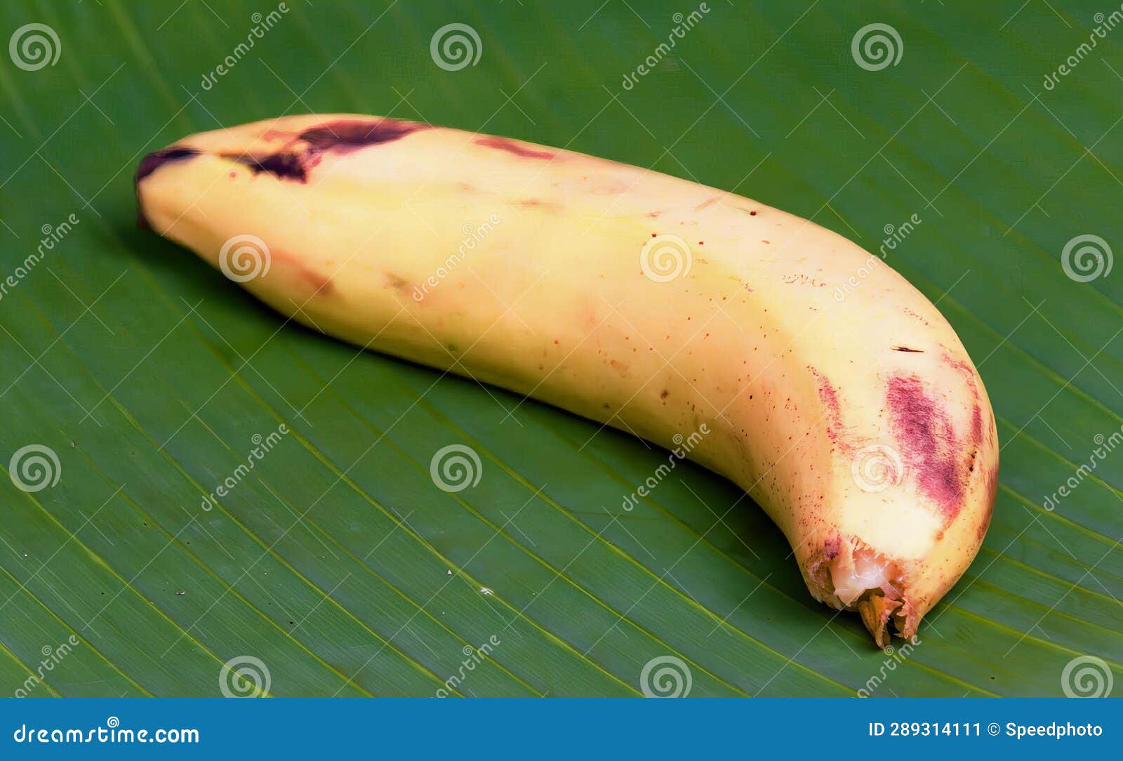 A Photography of a Banana on a Banana Leaf on a Table, Banana on a