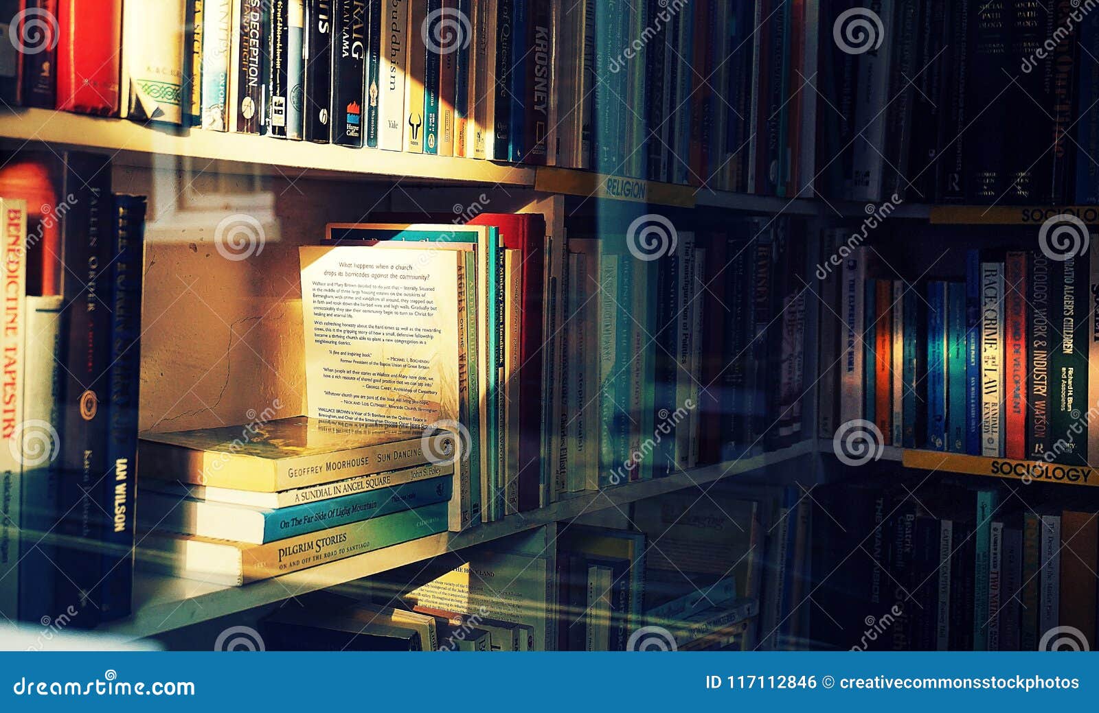 Photography Of Books On Bookshelf Picture. Image 117112846