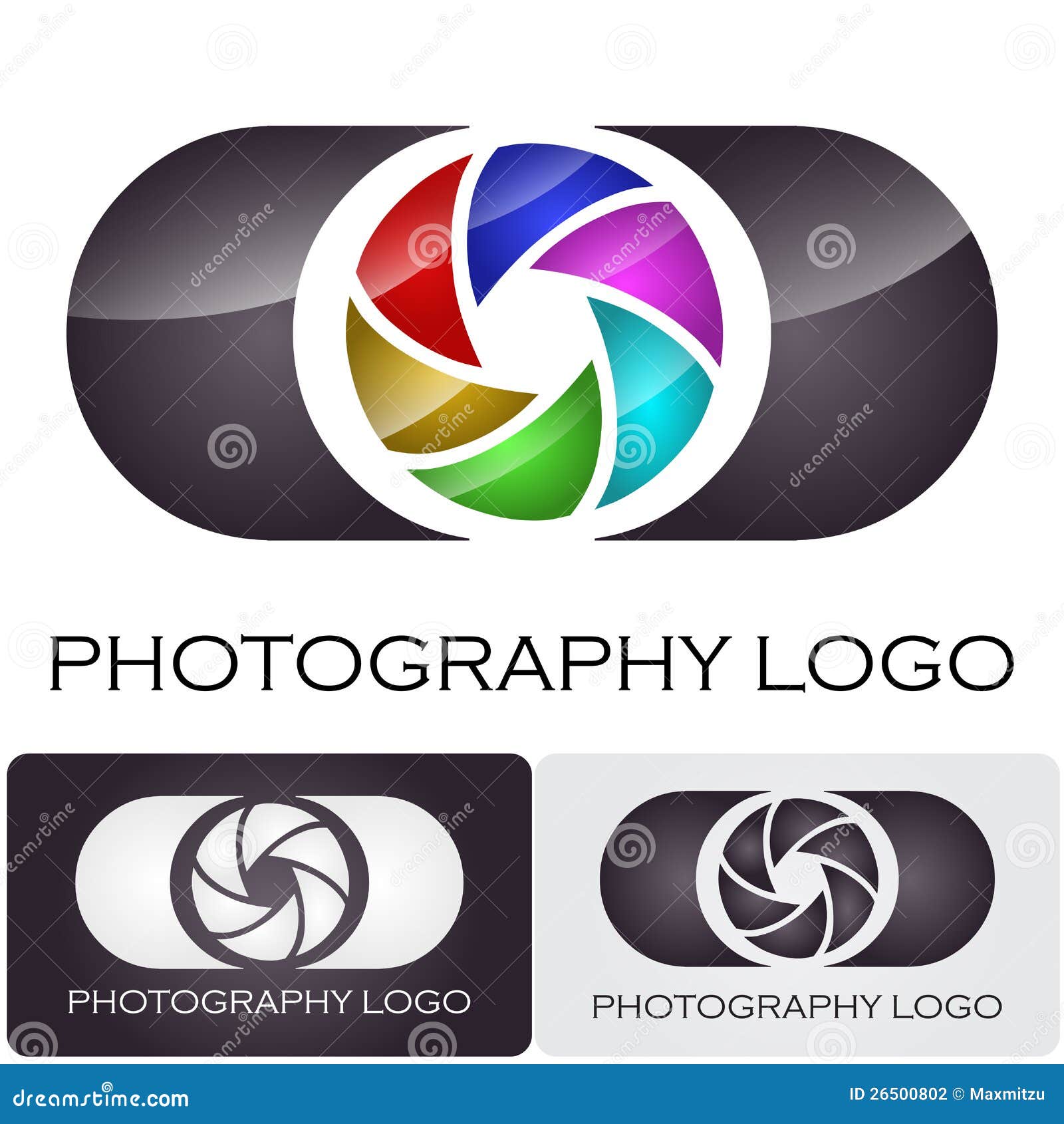 photography company logo brush style