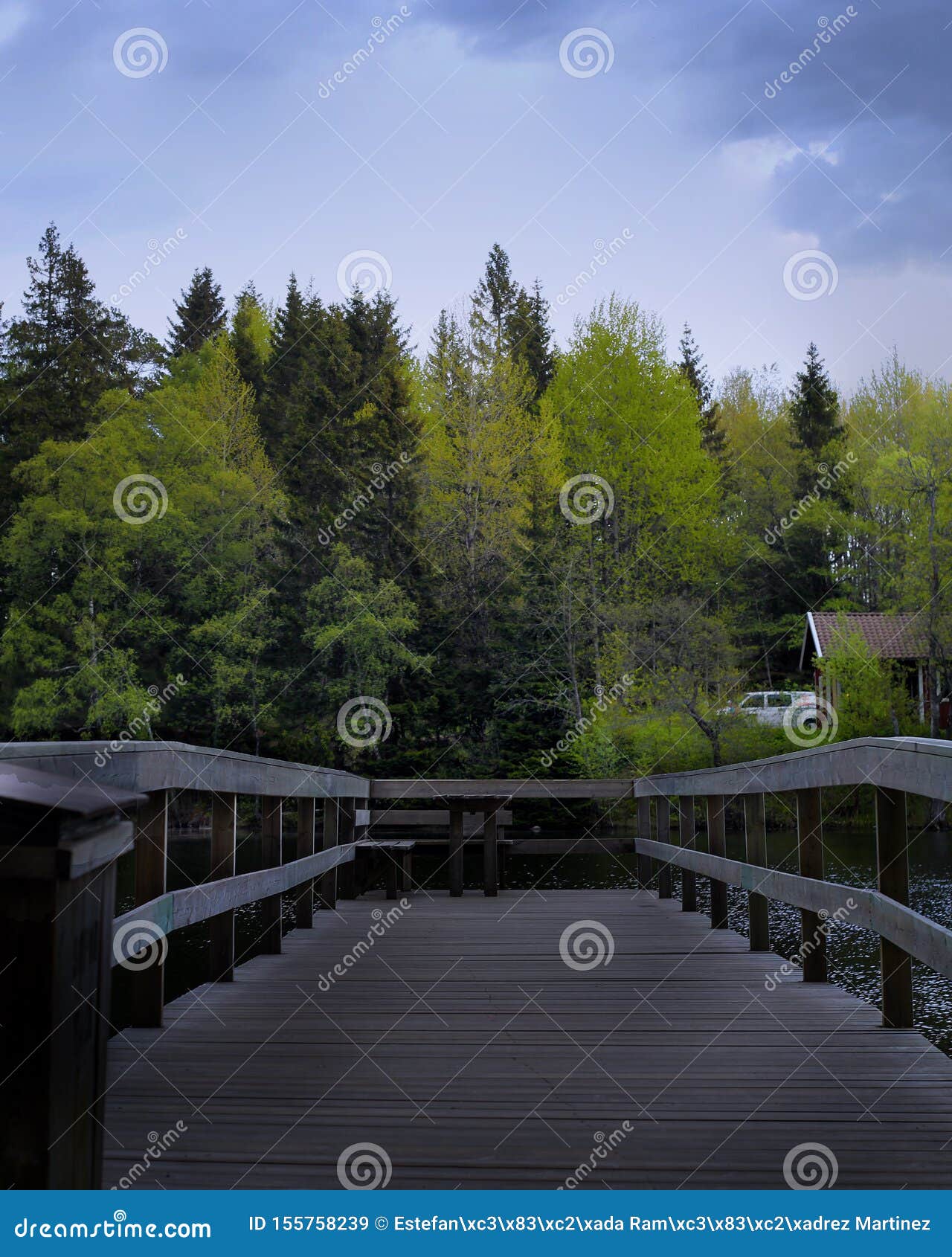 photography of  wooden bridge in the forest