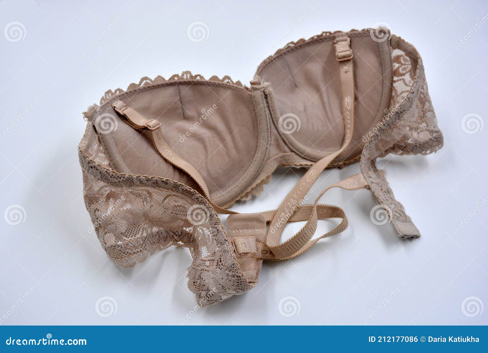 Handsome Brown, Bodily Female Bra with Pitpus, Lingerie Located on White  Background. Stock Photo - Image of accessory, dark: 212177086