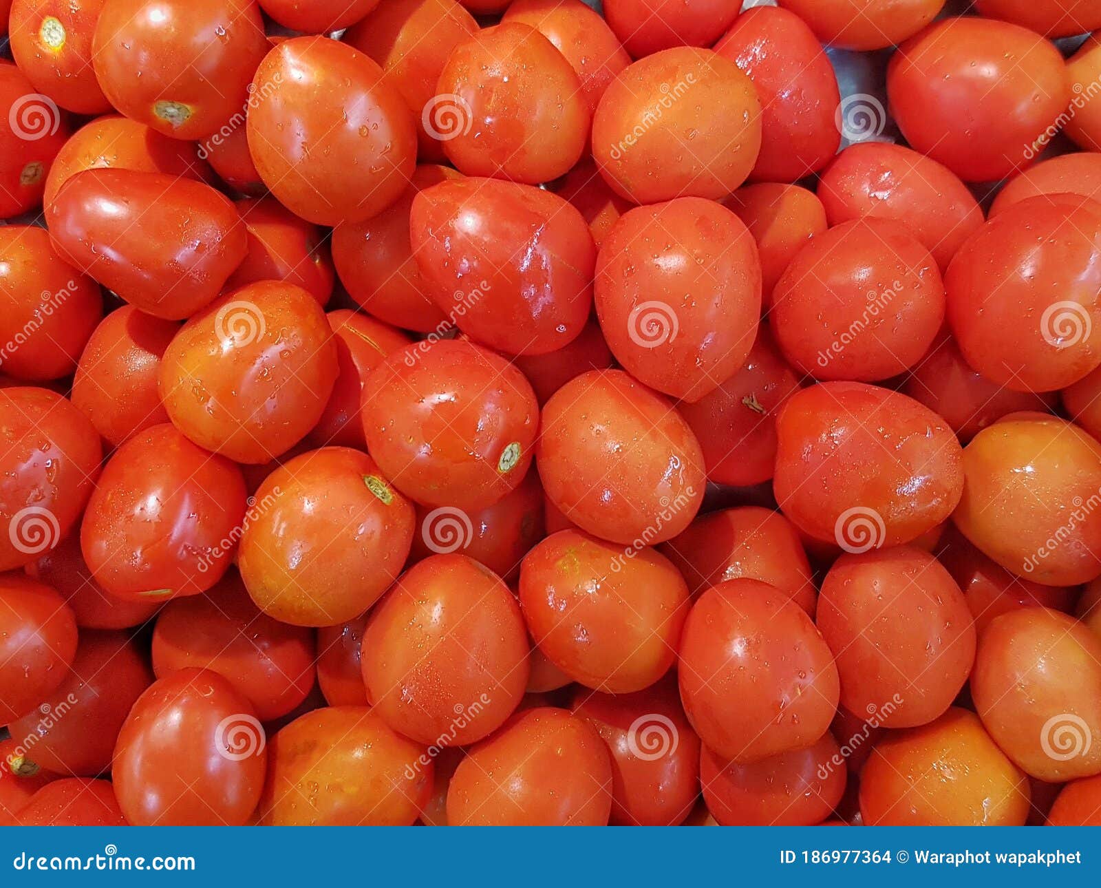 Photos of Tomatoes on the Market for Fruit and Vegetables Stock Photo