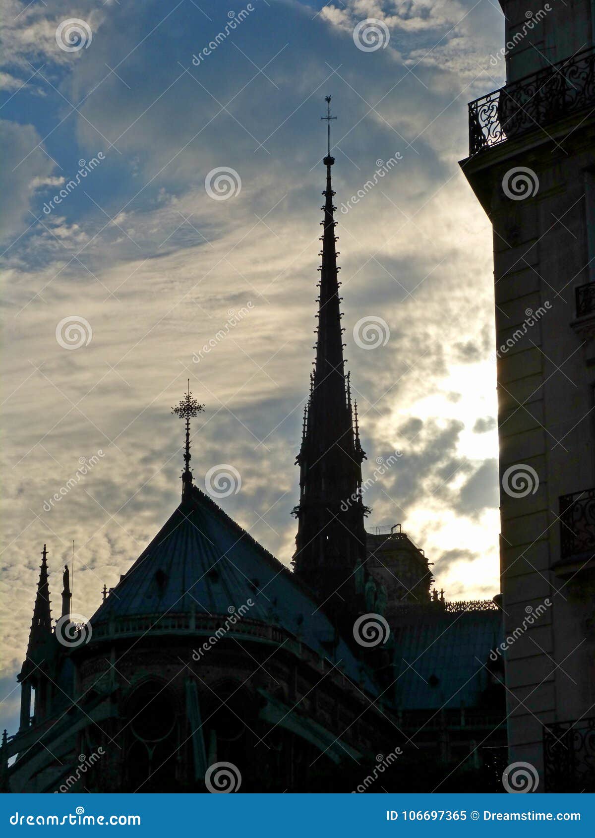 photoshoot at the notre dame