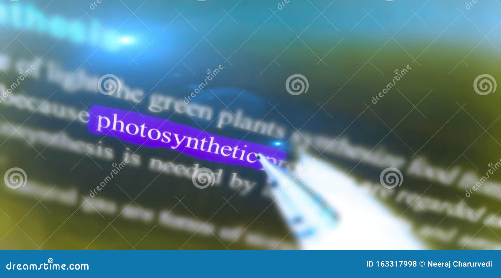 photosynthetic biological text written on english language with highlights form