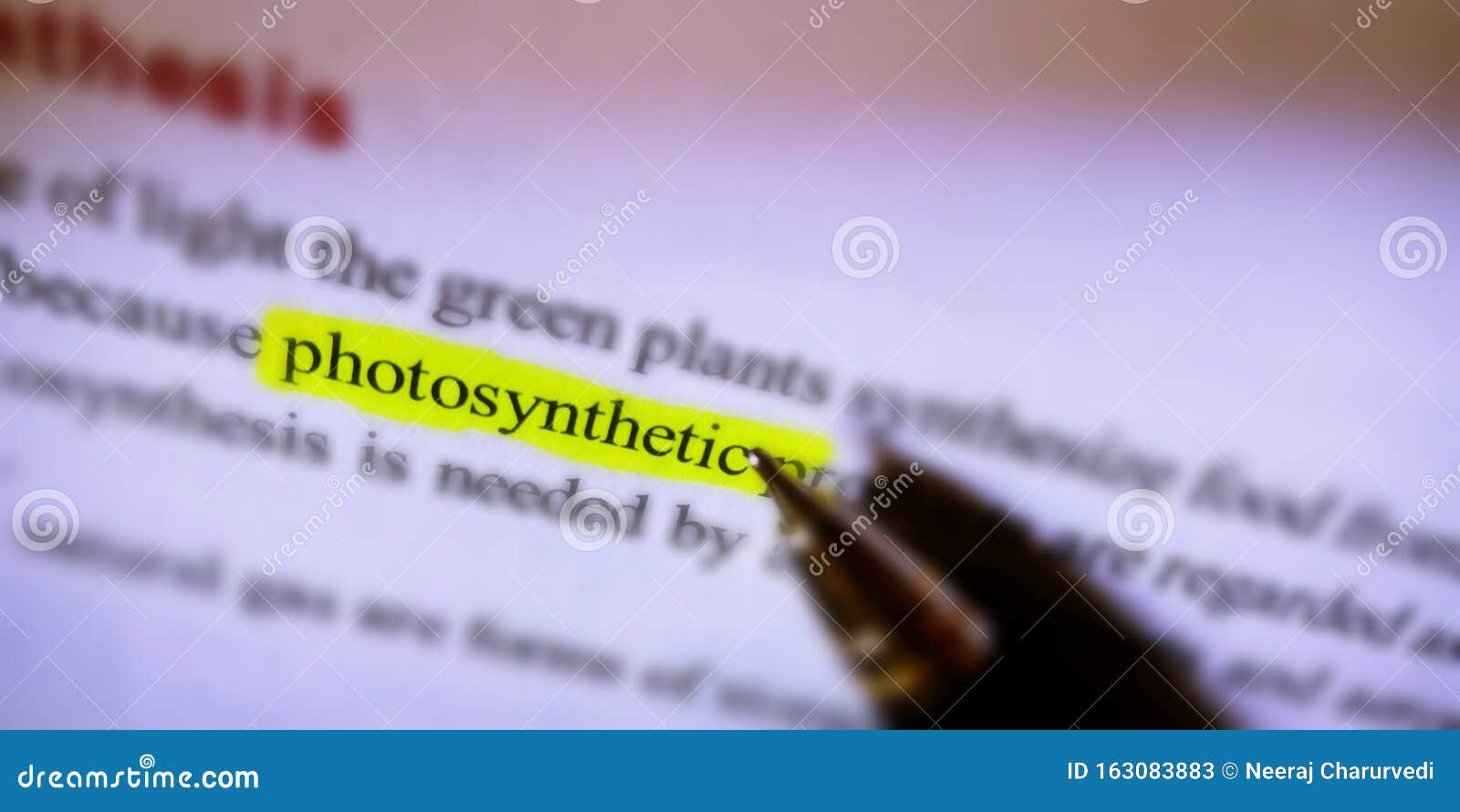 photosynthetic word highlighted on white paper sheet