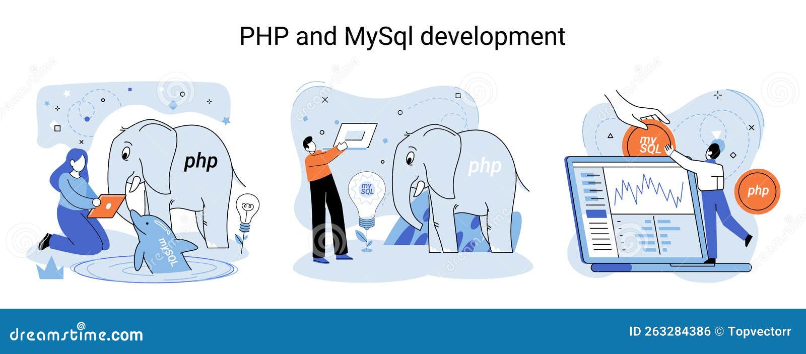 PHP and MySql Development. Software Website Developer, Programmer ...