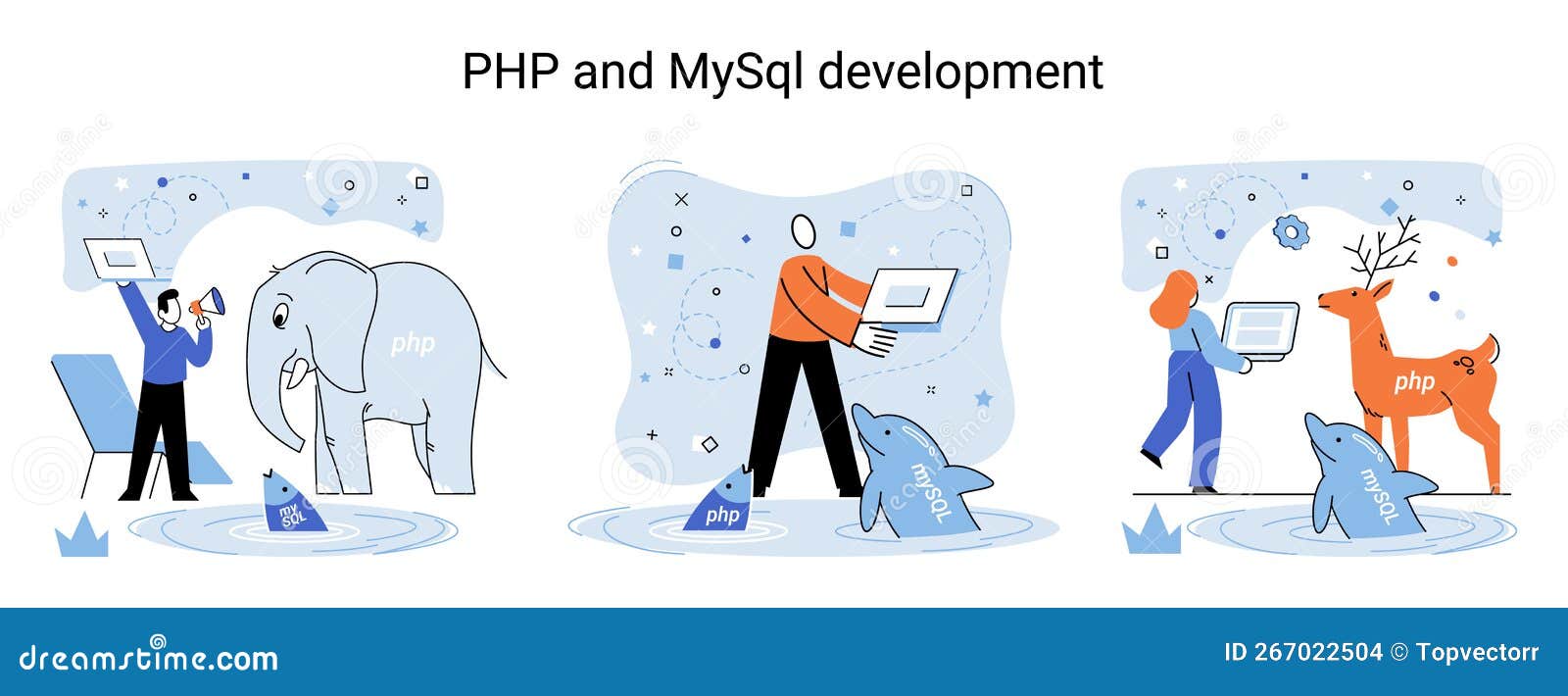 PHP and MySql Development. Software Website Developer, Programmer ...