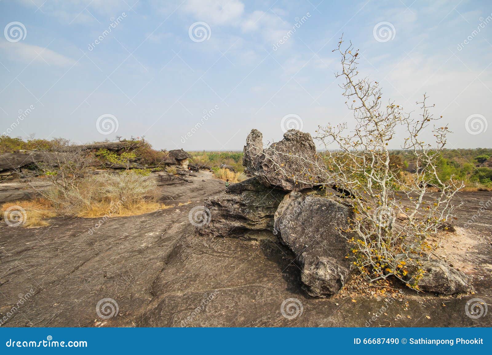 Phu Pha Thoep National Park, Mukdahan, Thailand Stock Photo Image of