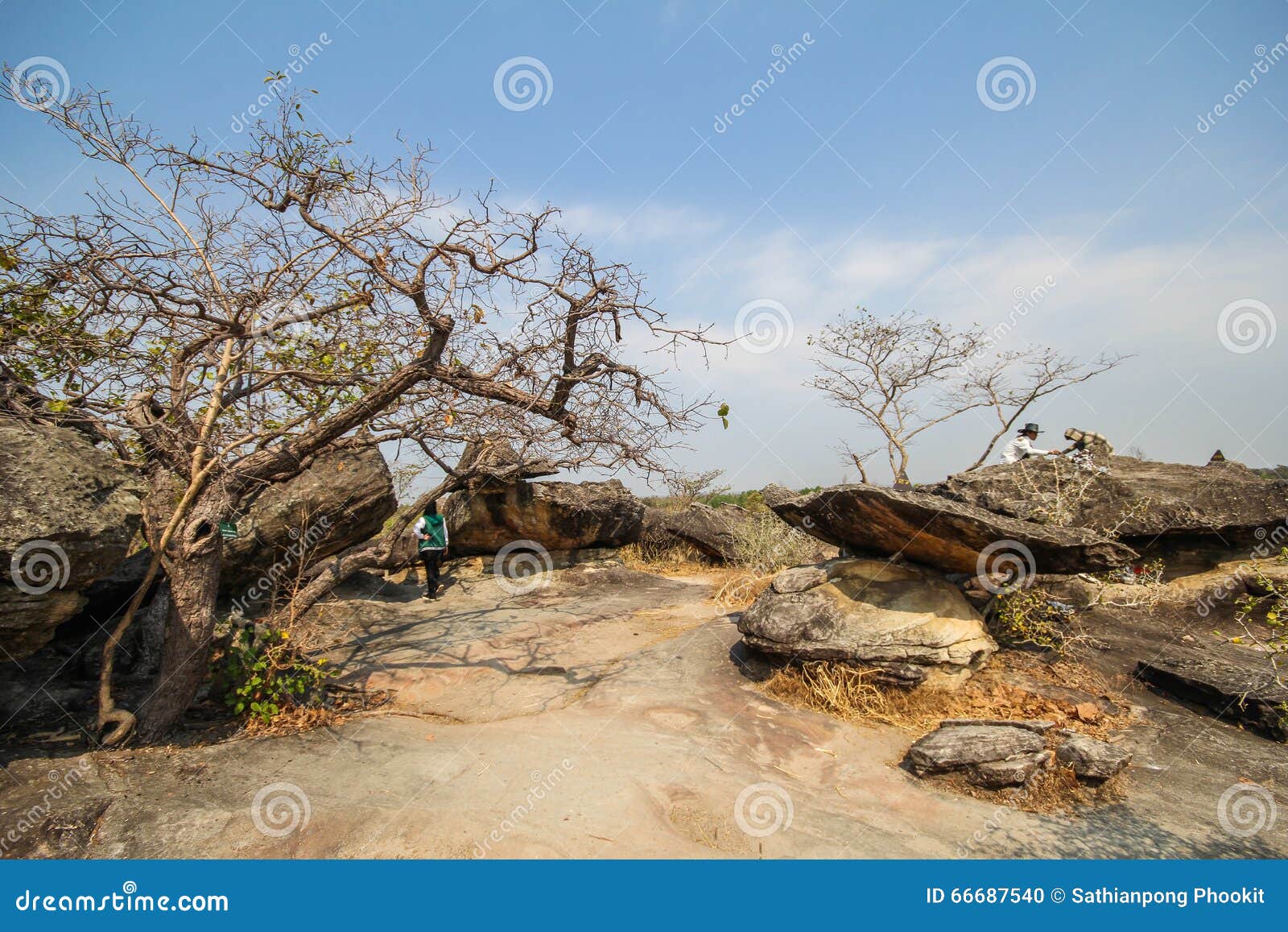 Phu Pha Thoep National Park, Mukdahan, Thailand Stock Photo Image of