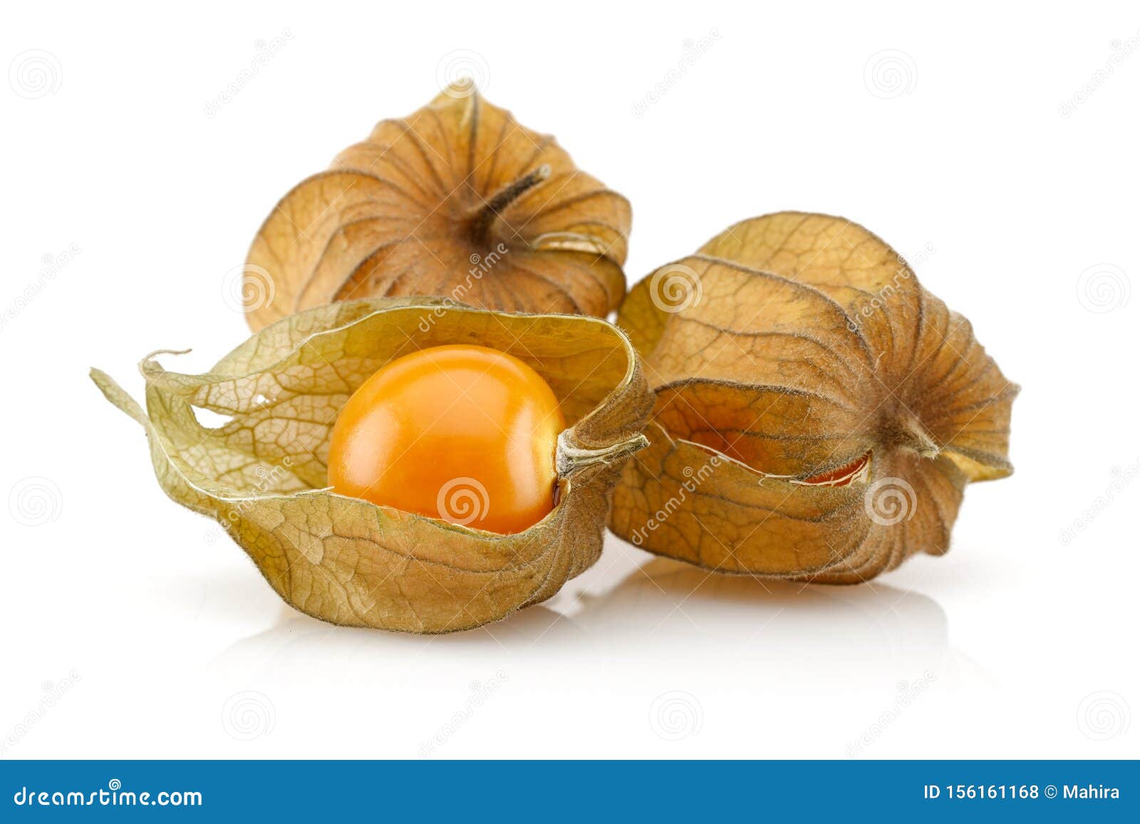 Physalis Fruit Or Winter Cherry Isolated On White Stock Photo Image Of Ingredient Seed