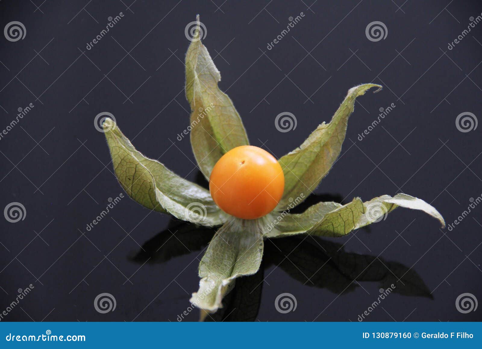 physalis  black background fruit delicious sao paulo brasil