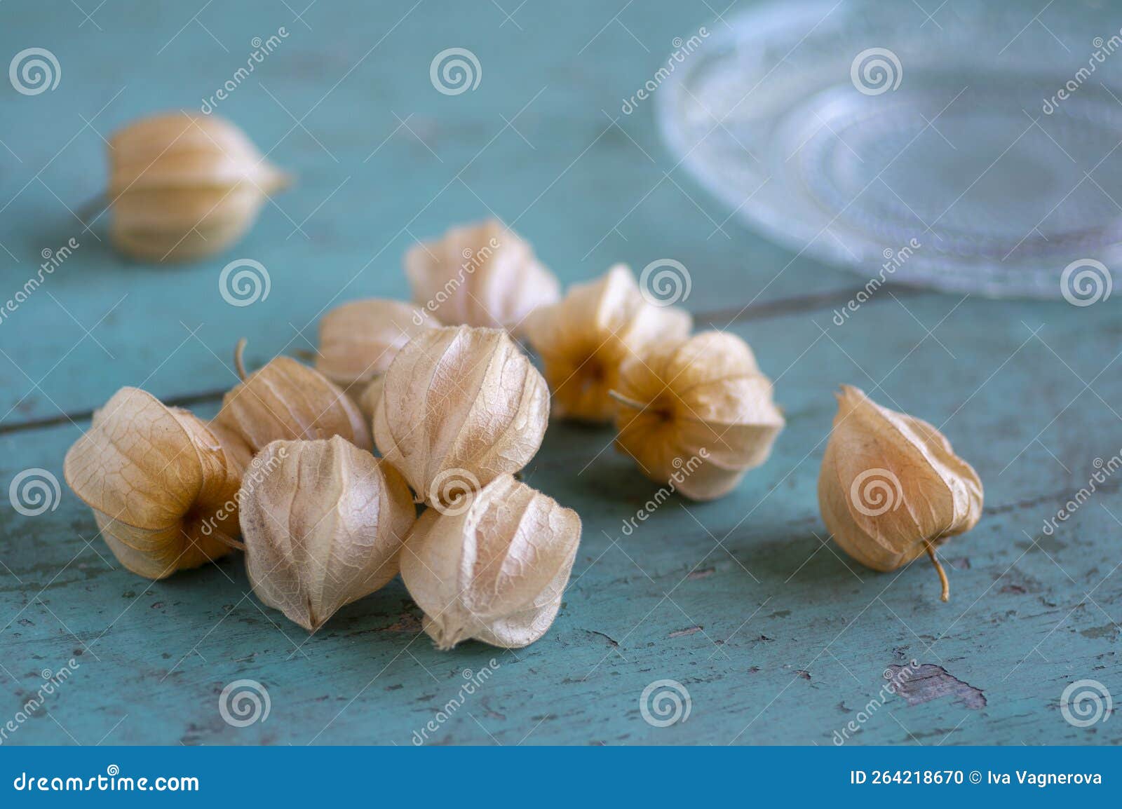 Physalis Peruviana Ripened Orange Yellow Cape Gooseberry Goldenberry