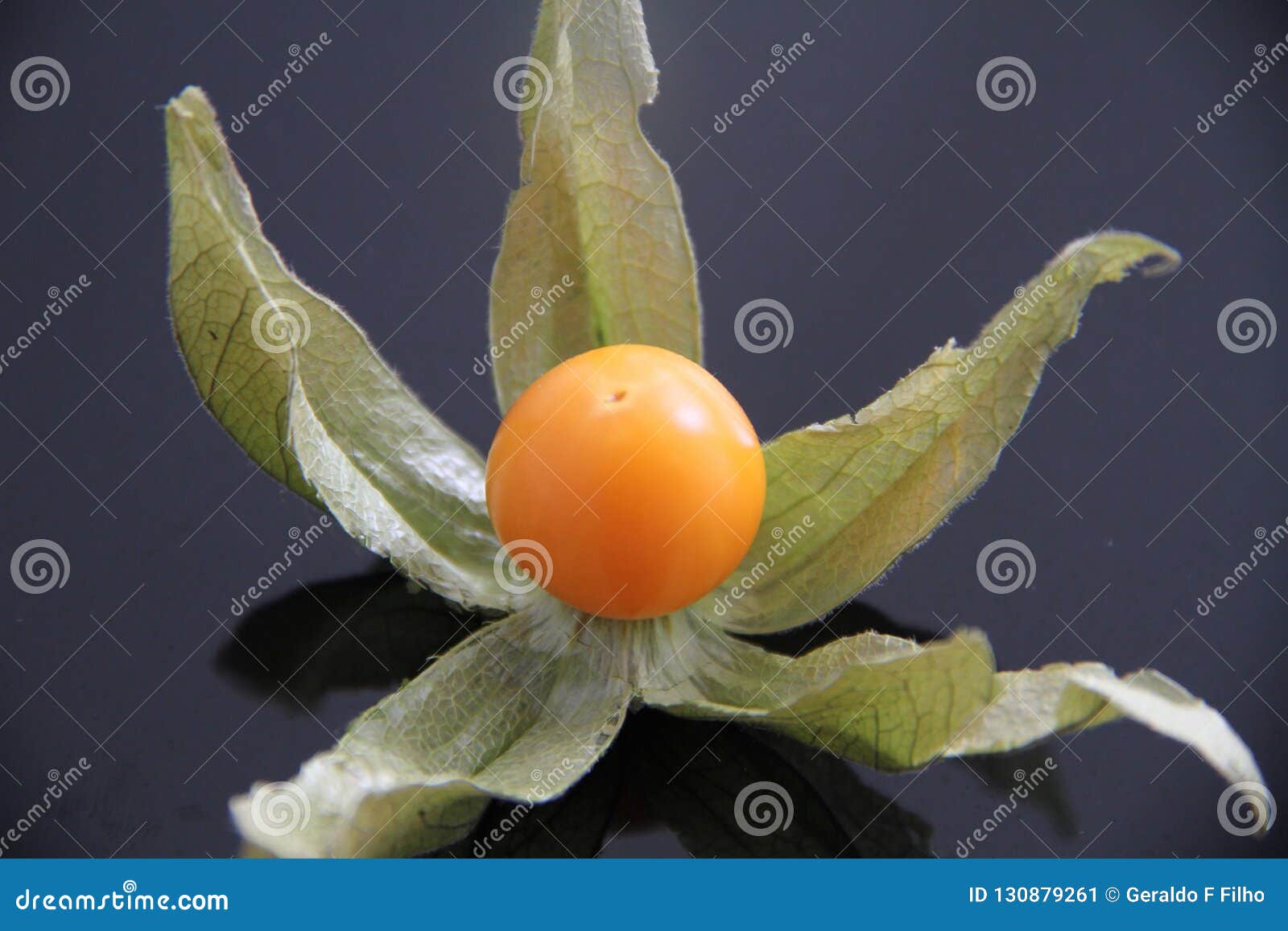 physalis  black background fruit delicious sao paulo brasil