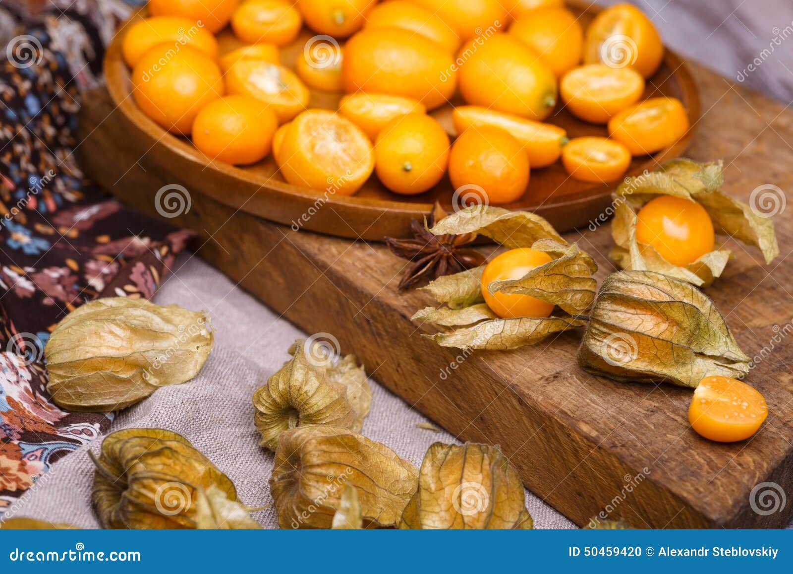 Physalis y kumquat foto de archivo. Imagen de heno, vector 50459420