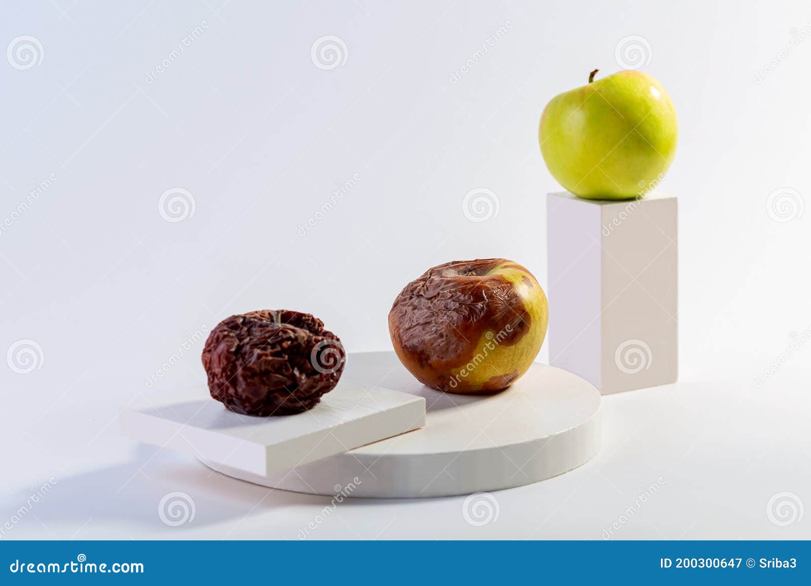 Physical and Chemical Changes of Apples Stock Image Image of death