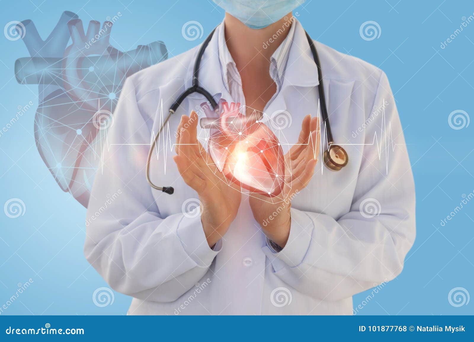 physician cardiologist shows a human heart .