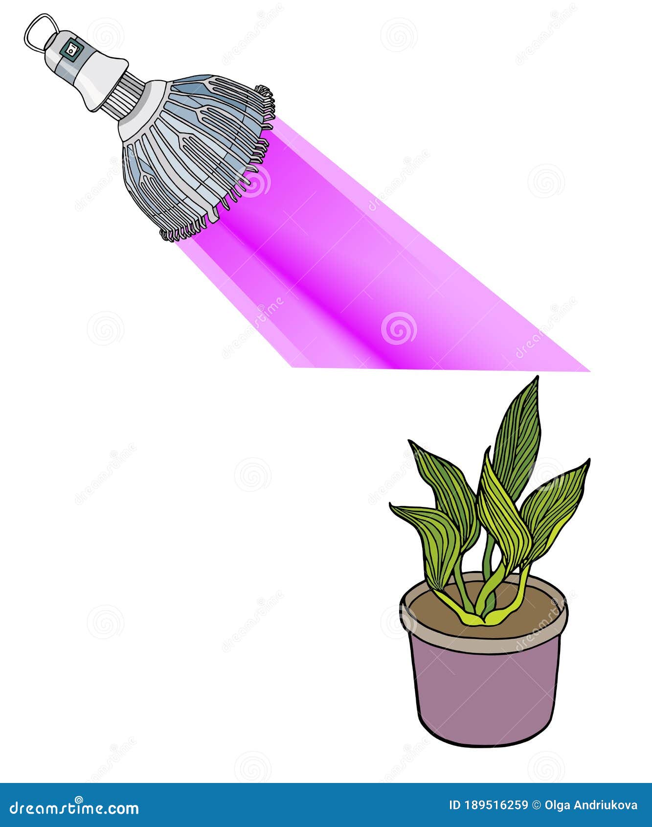 Phyto Lamp Bulb With Spectrum Light And Plant In Flower Pot Red And Blue Led Lights For Growing Plants Scheme Of Stock Vector Illustration Of Isolated Icon 189516259