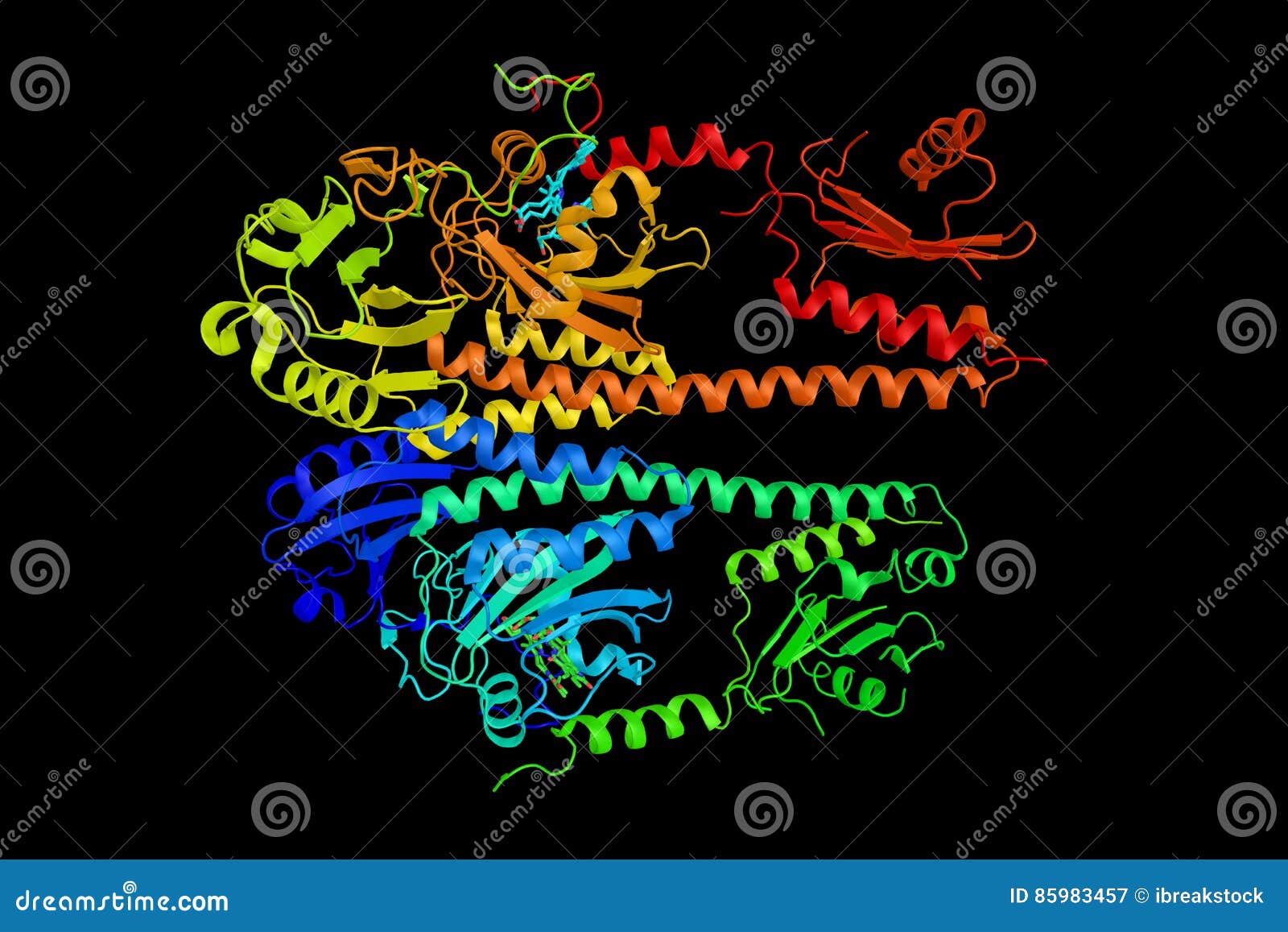 Phytochrome, a Photoreceptor, a Pigment, that Plants, and Some B Stock
